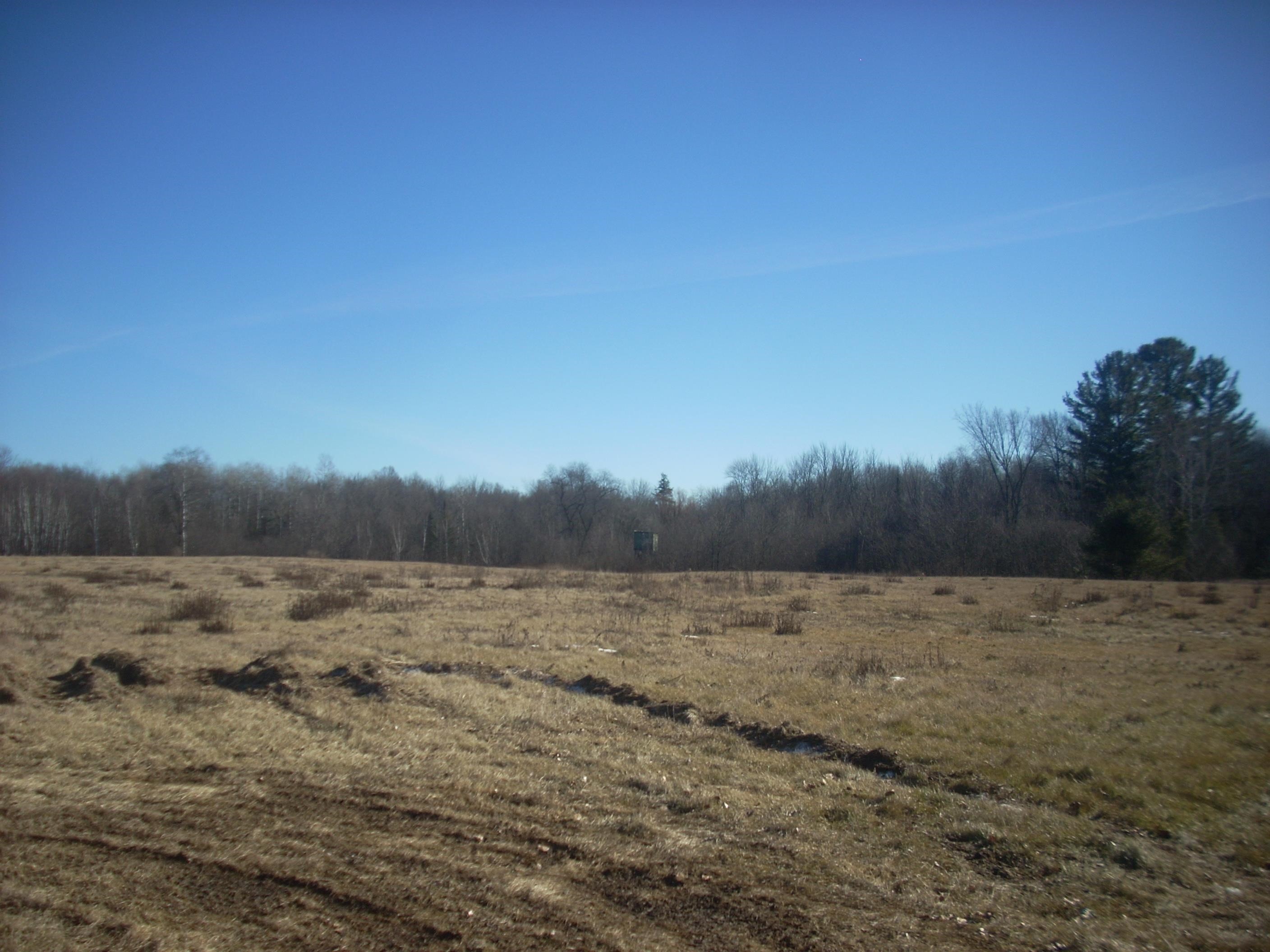 48.6 Acres County Road Jj Property Photo 5