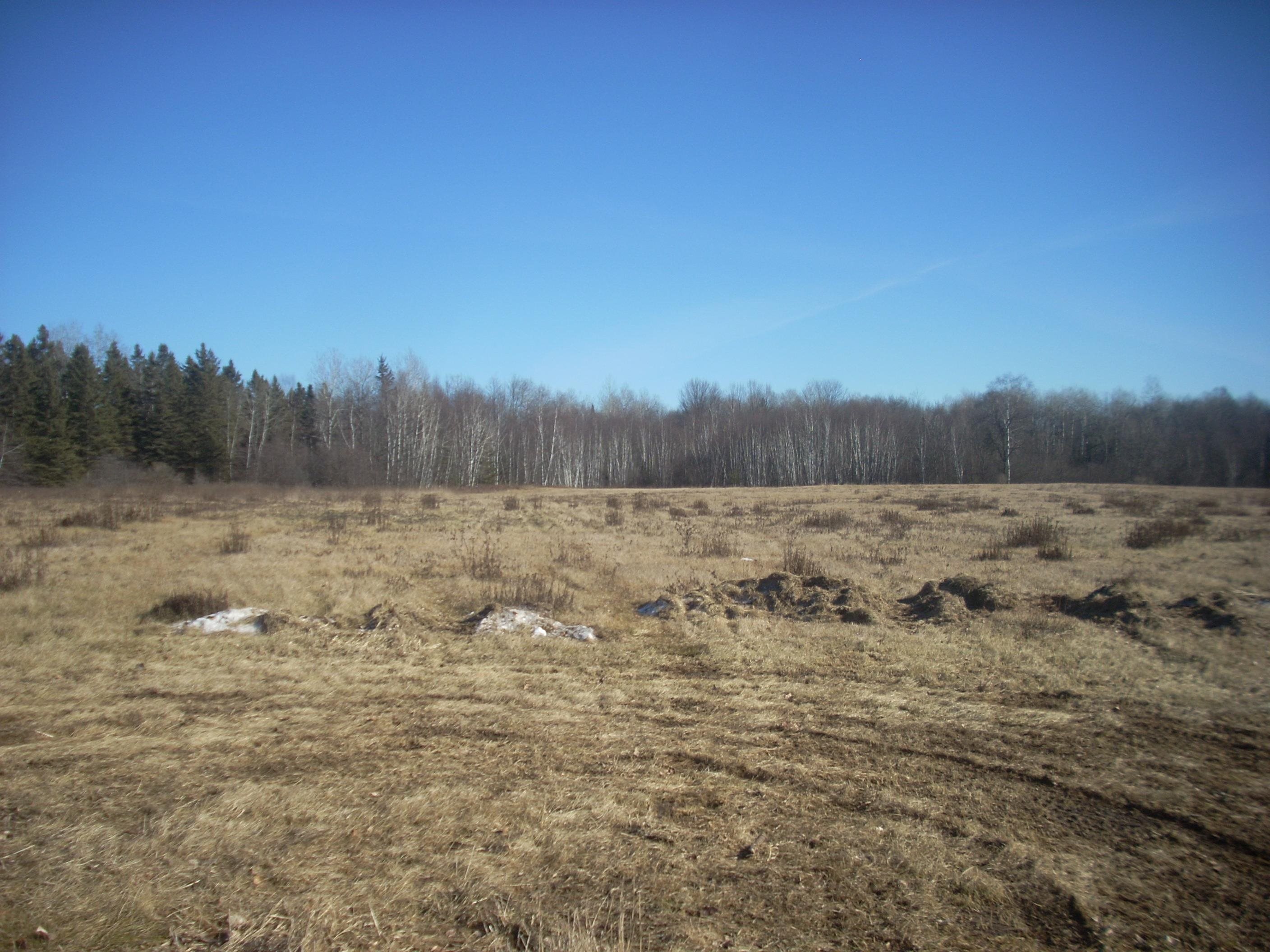 48.6 Acres County Road Jj Property Photo 6