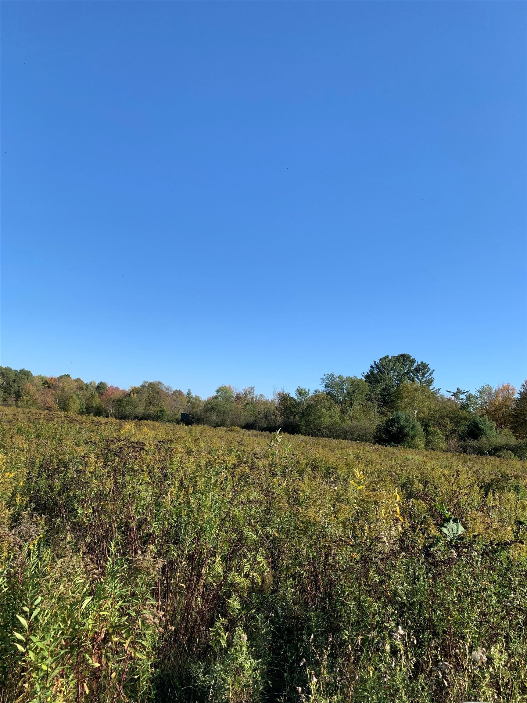 48.6 Acres County Road Jj Property Photo 9