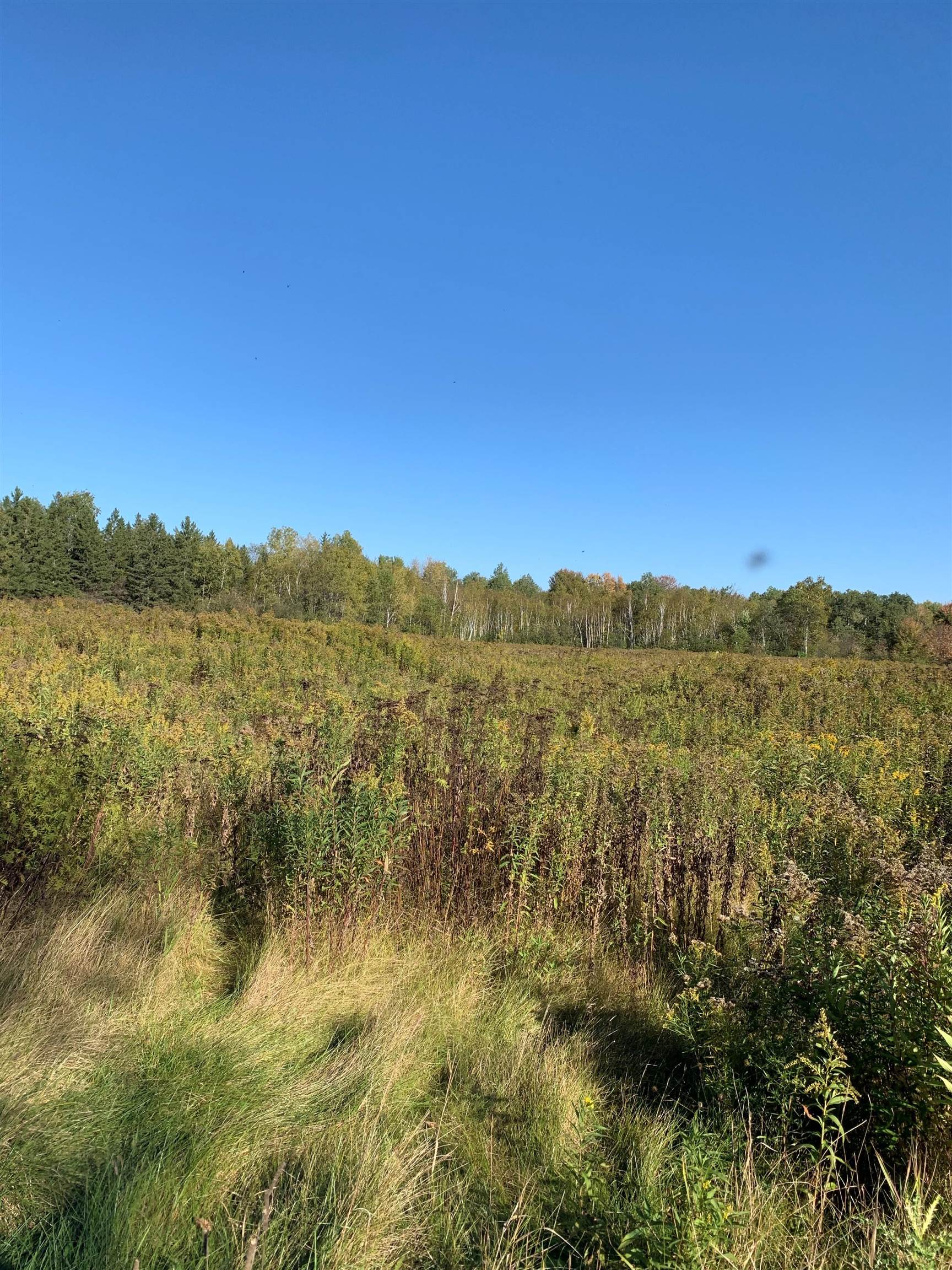 48.6 Acres County Road Jj Property Photo 10