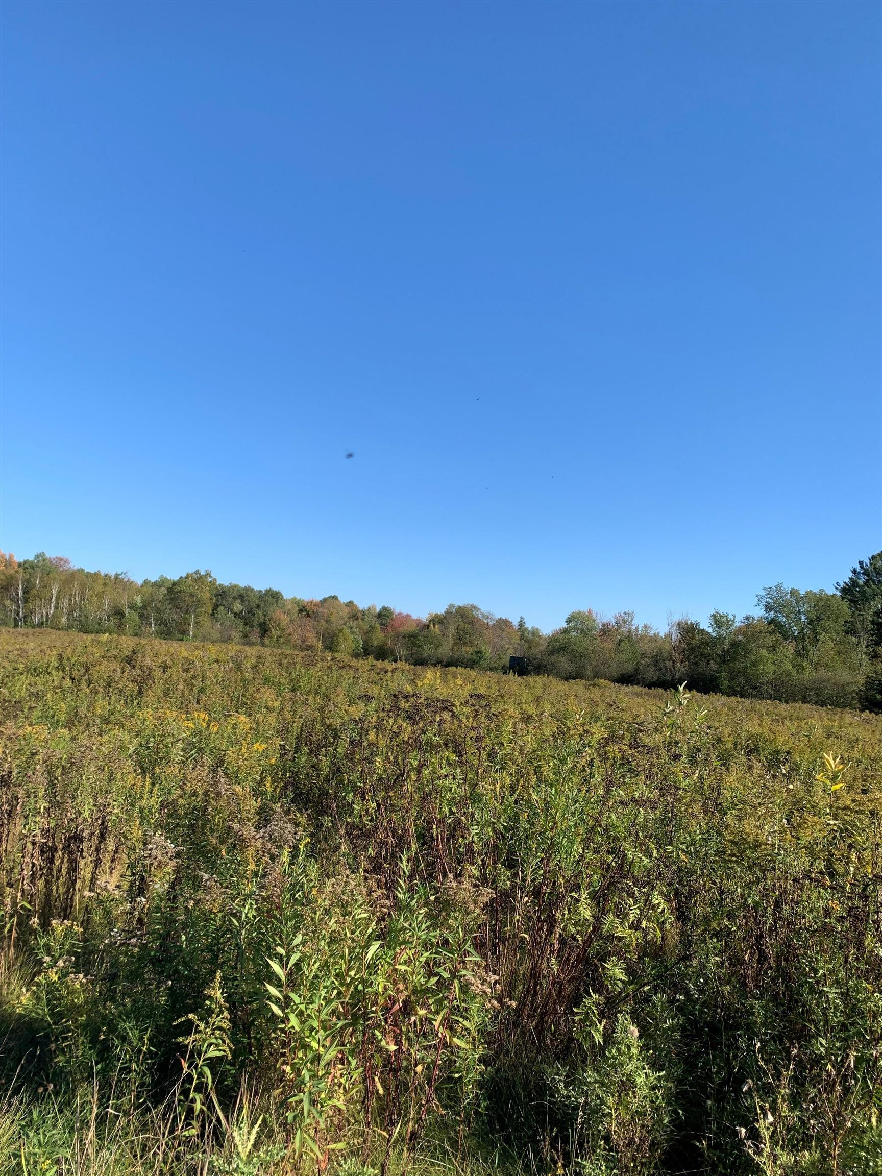 48.6 Acres County Road Jj Property Photo 11