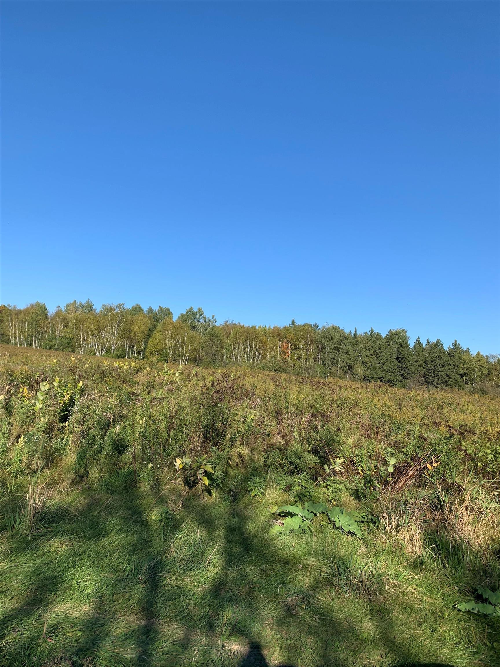 48.6 Acres County Road Jj Property Photo 12