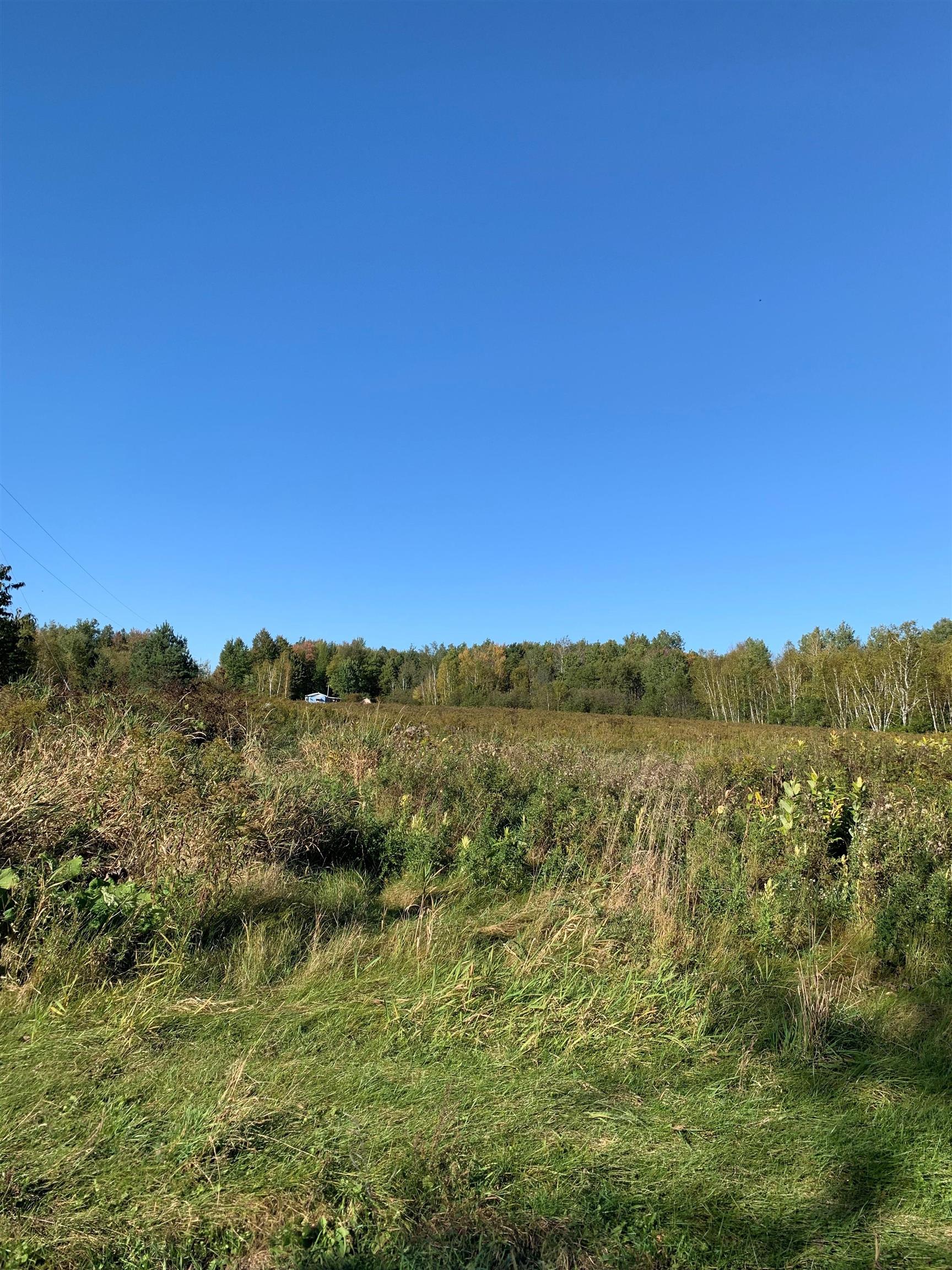 48.6 Acres County Road Jj Property Photo 13