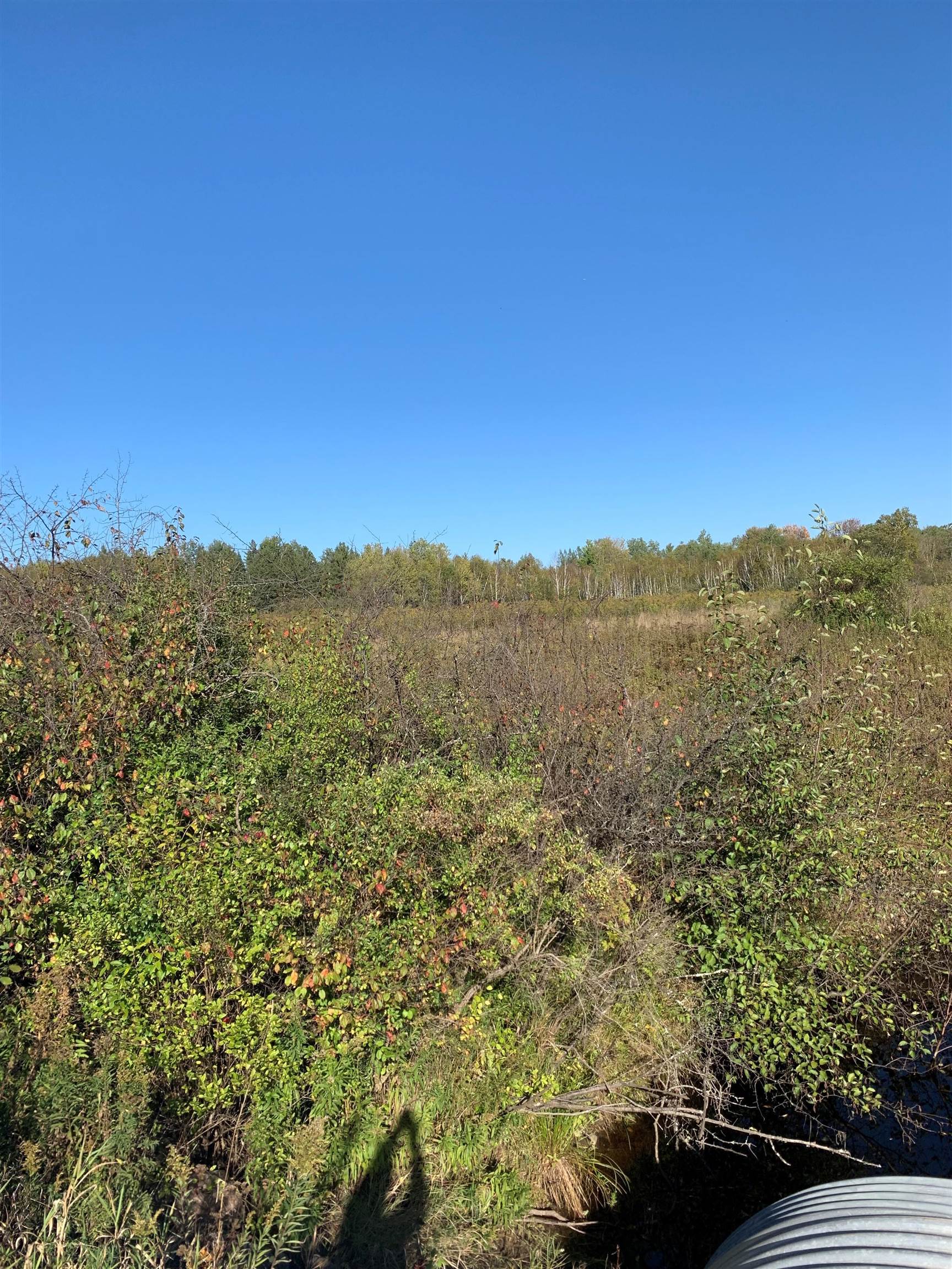 48.6 Acres County Road Jj Property Photo 15