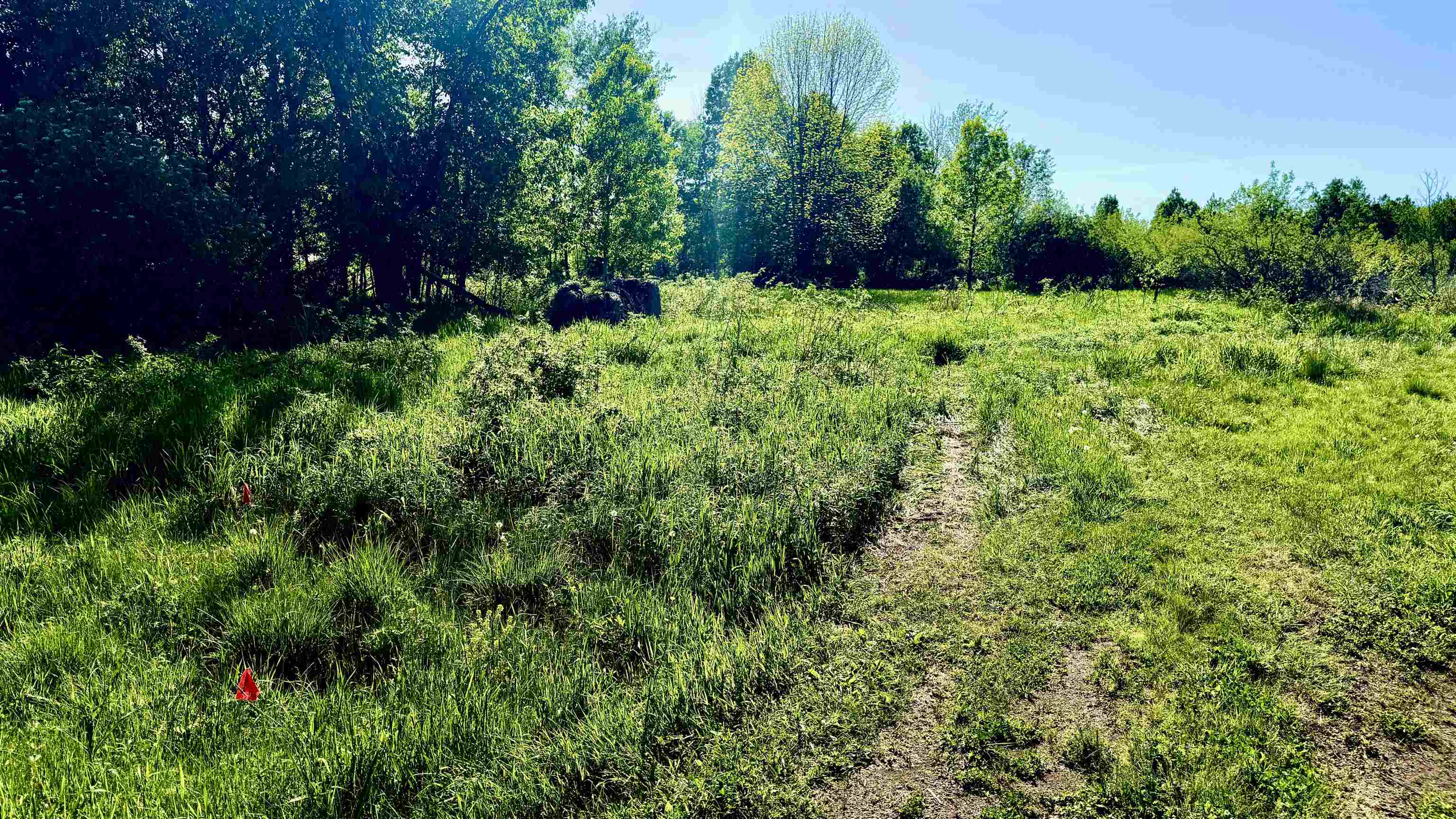 Lot 3 Eau Claire River Road Property Photo 1