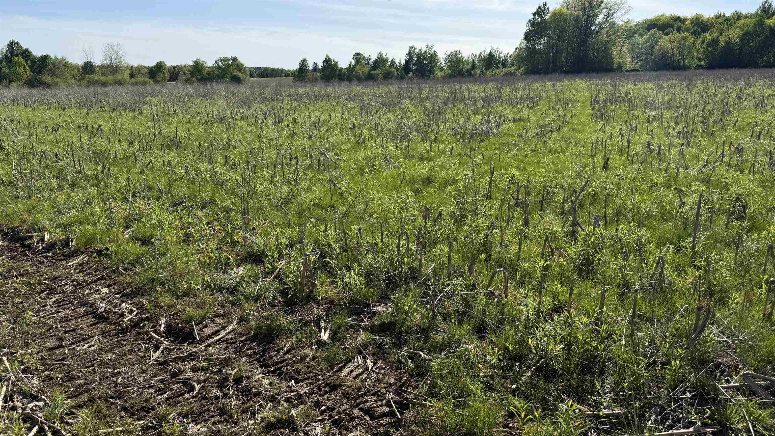 Lot 3 Eau Claire River Road Property Photo 4