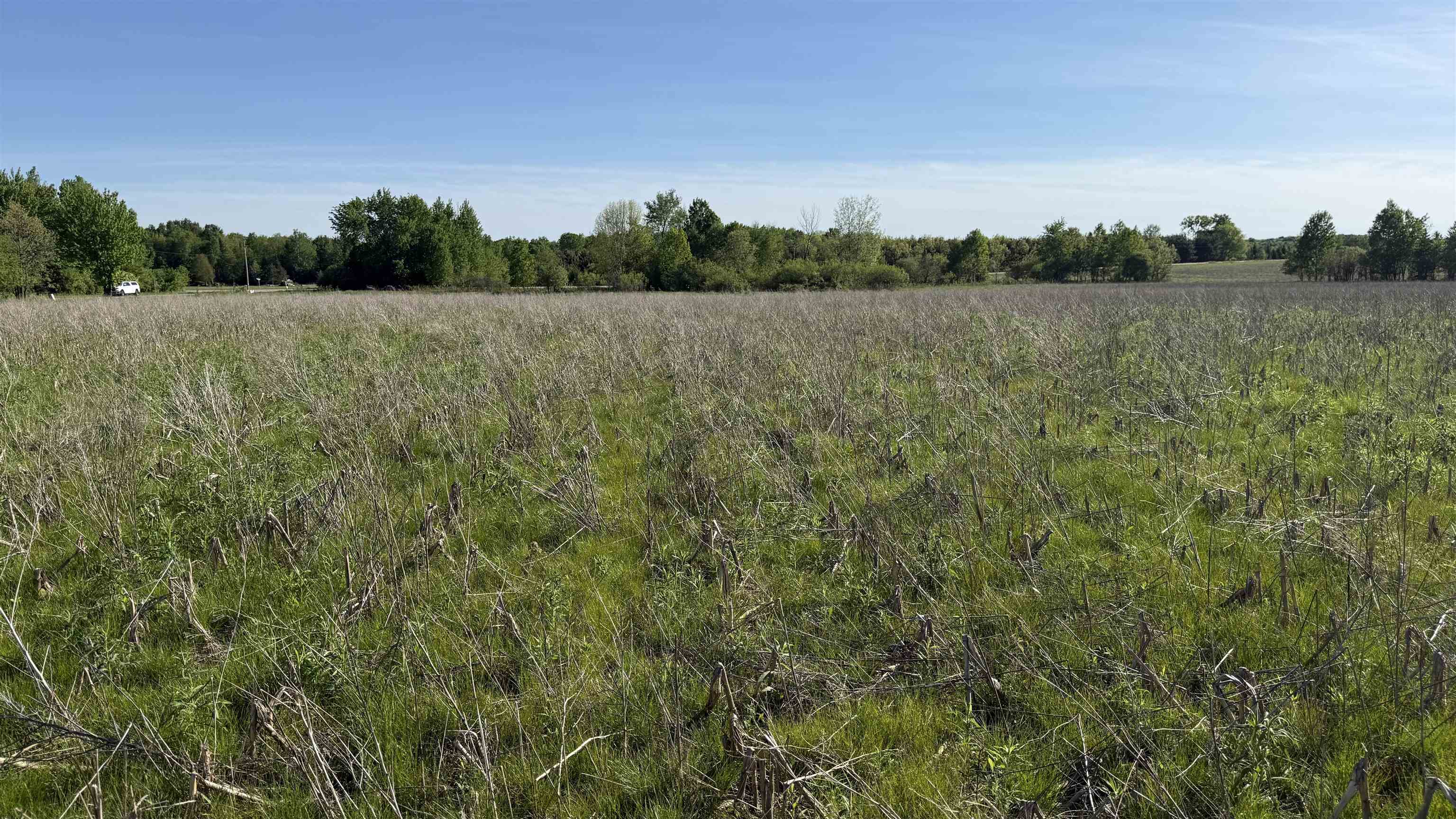 Lot 3 Eau Claire River Road Property Photo 5