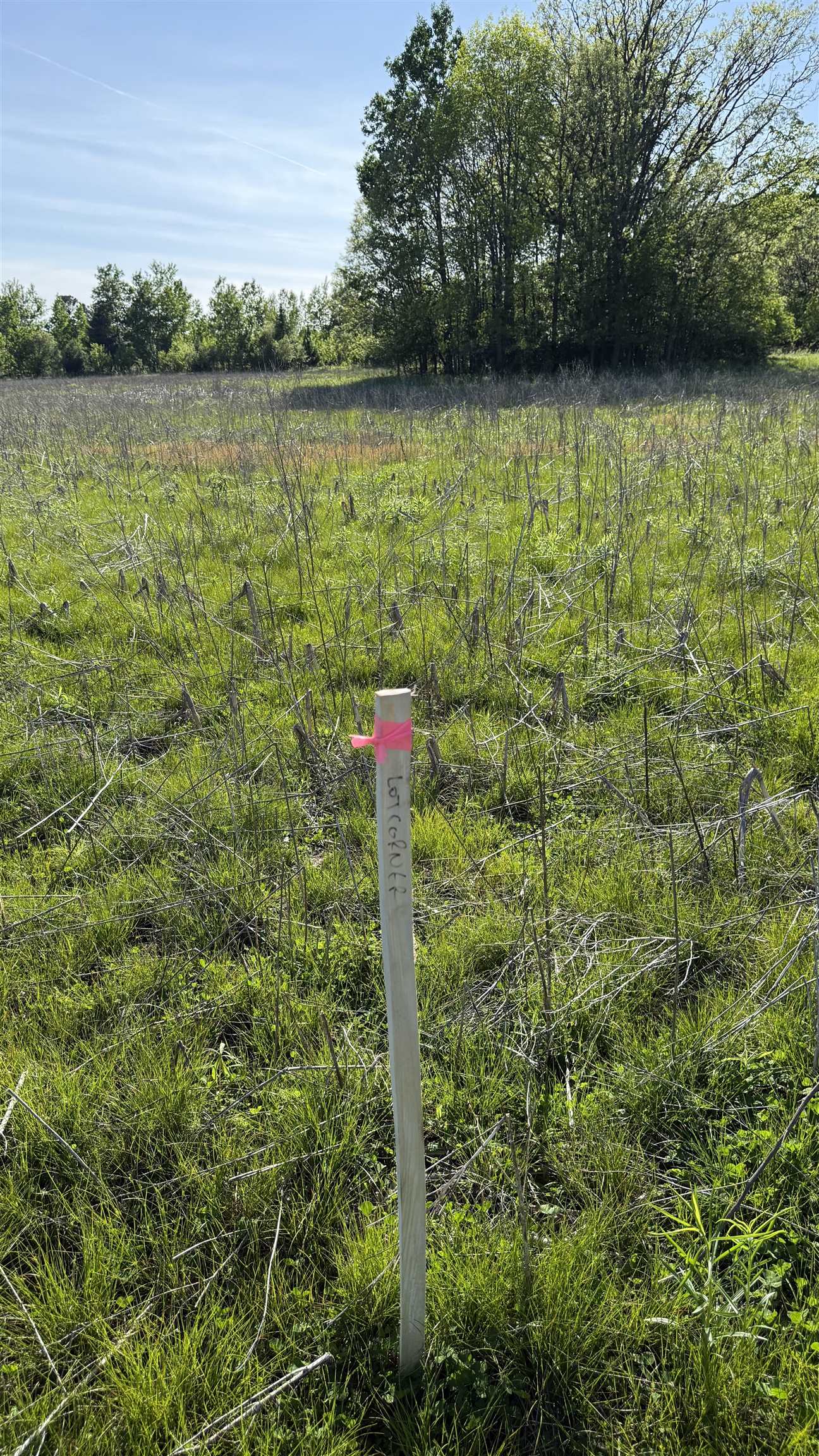 Lot 3 Eau Claire River Road Property Photo 6