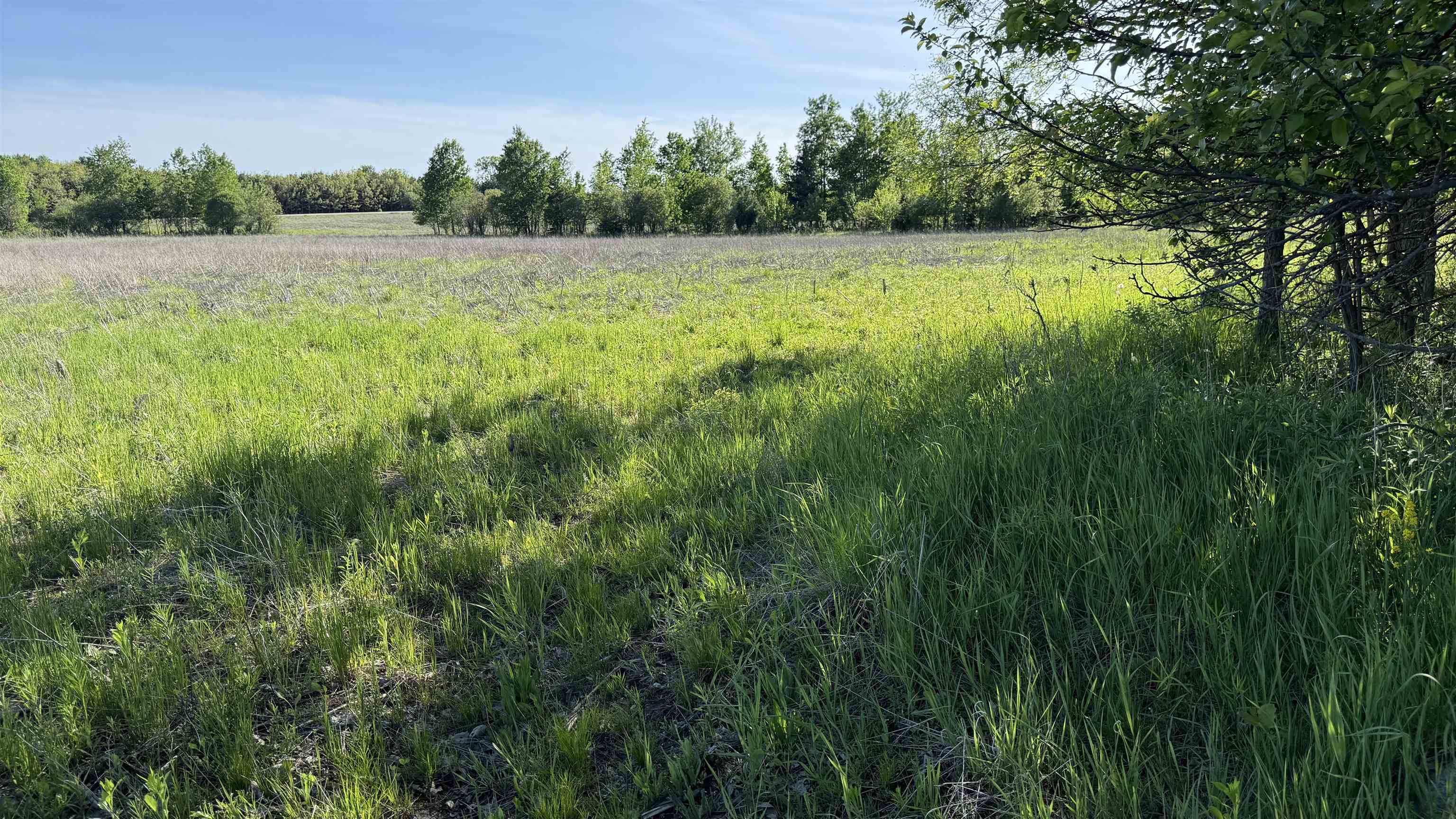 Lot 3 Eau Claire River Road Property Photo 7
