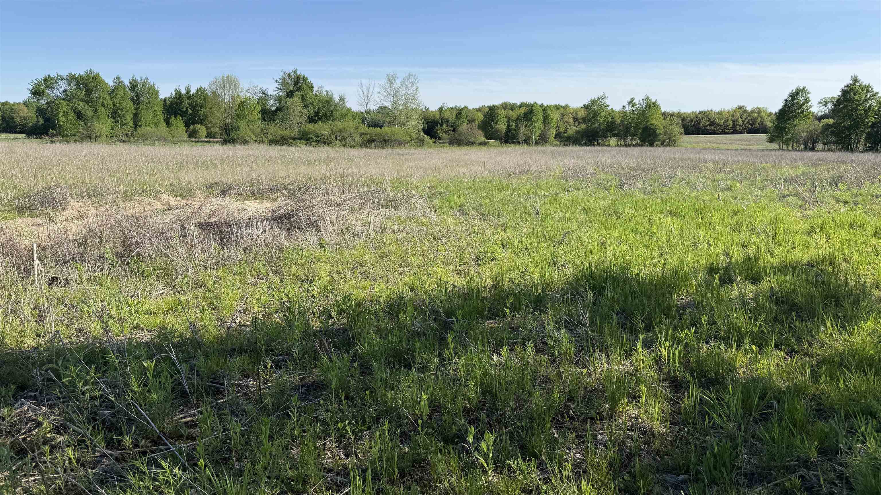 Lot 3 Eau Claire River Road Property Photo 8