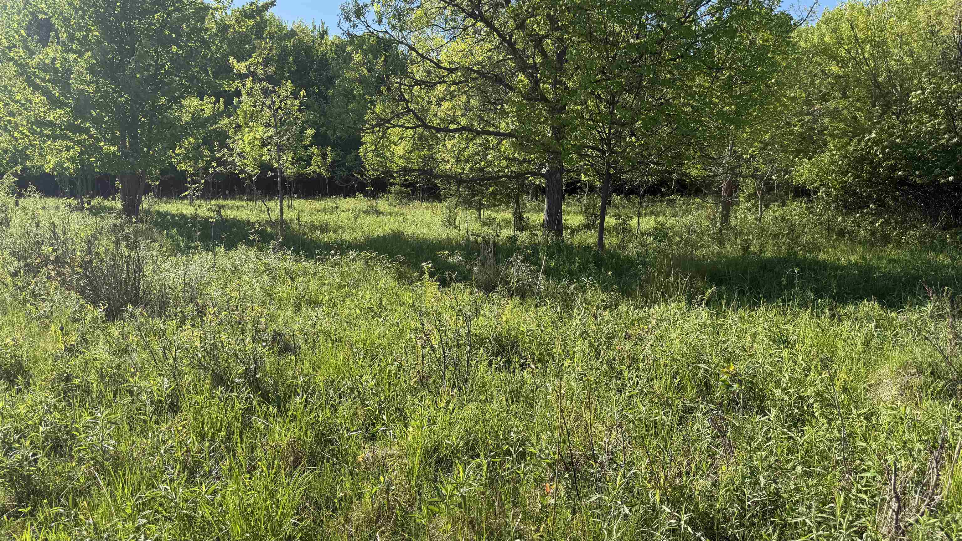Lot 3 Eau Claire River Road Property Photo 9
