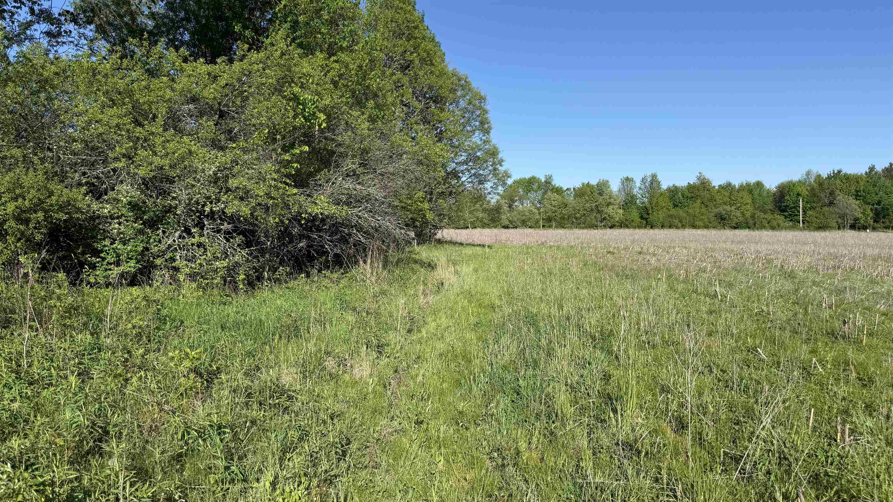 Lot 3 Eau Claire River Road Property Photo 10
