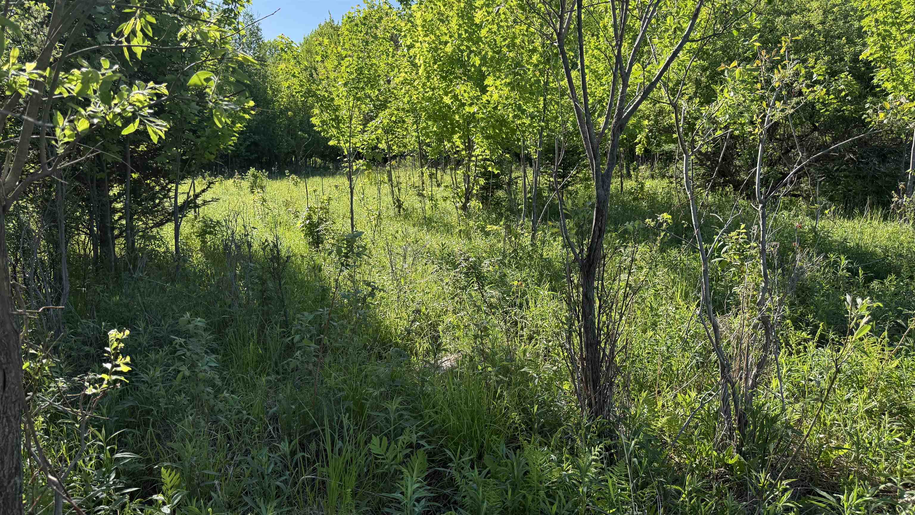 Lot 3 Eau Claire River Road Property Photo 13