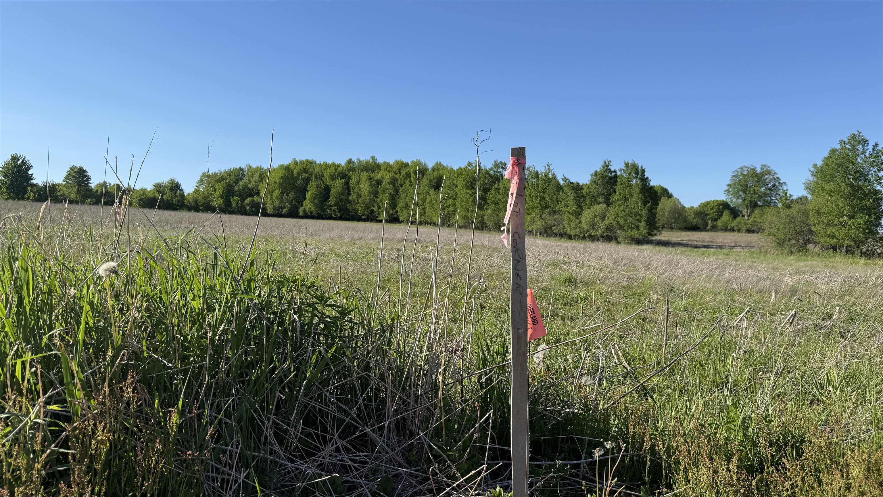 Lot 3 Eau Claire River Road Property Photo 15