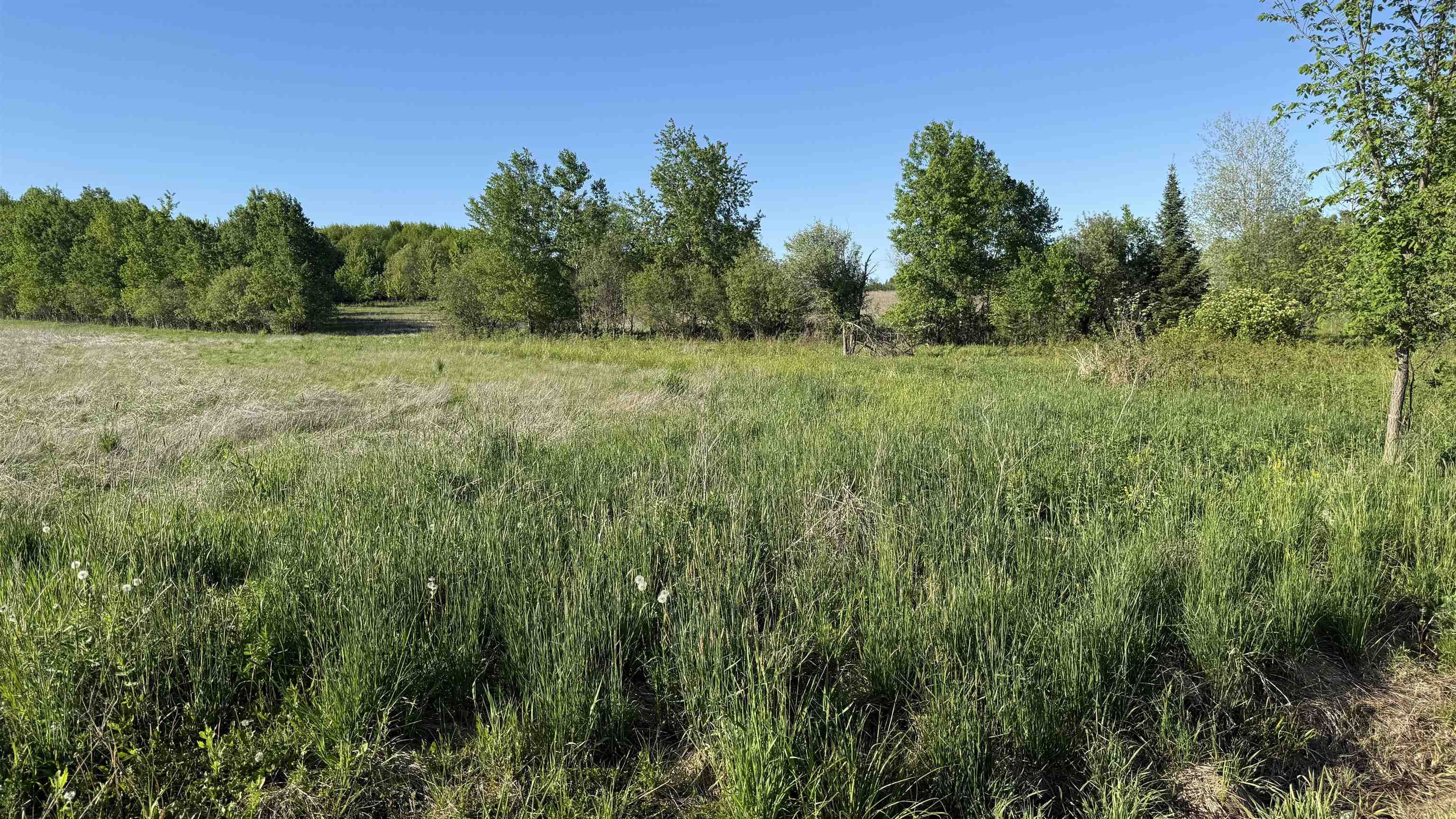 Lot 3 Eau Claire River Road Property Photo 16