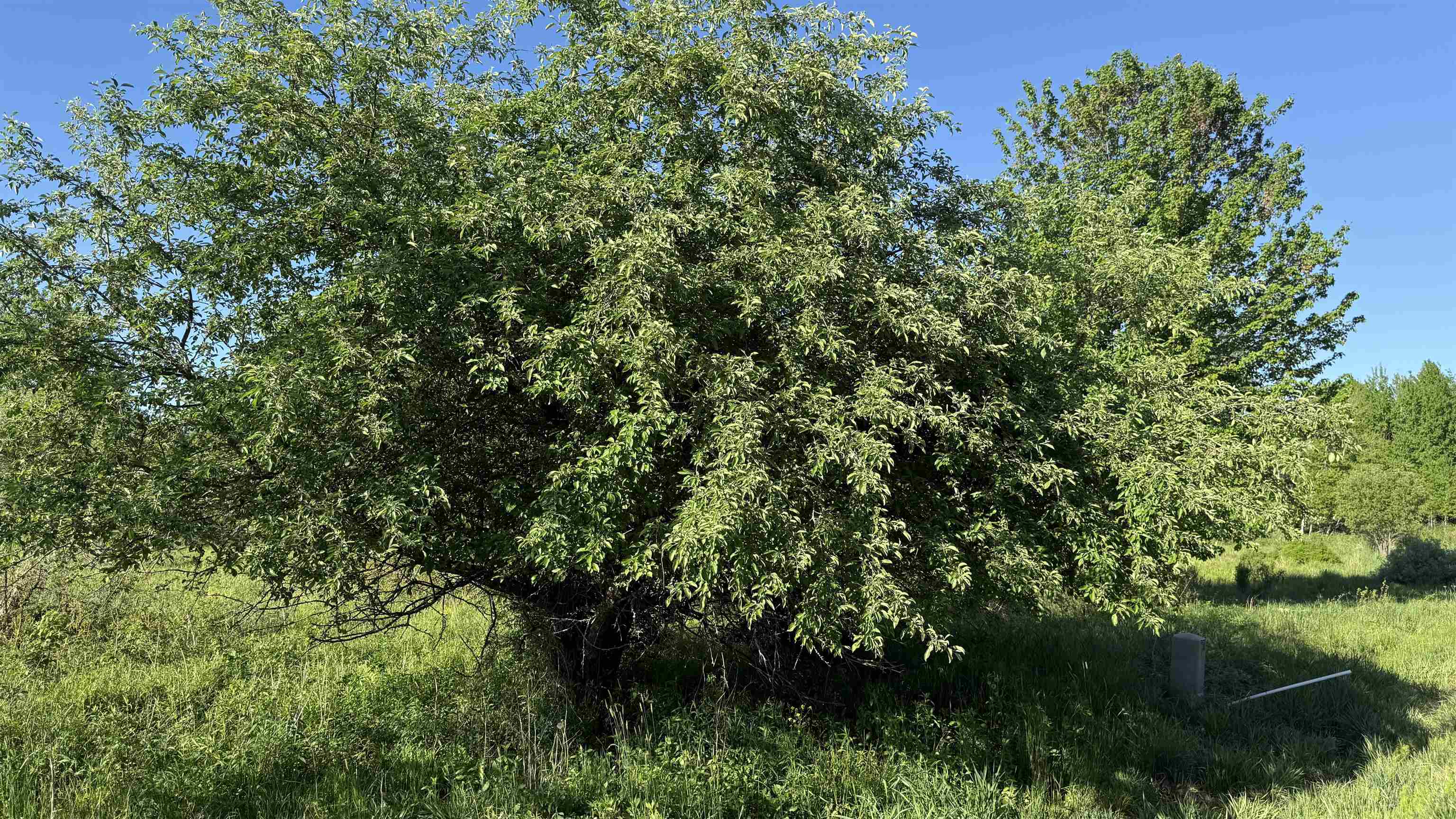 Lot 3 Eau Claire River Road Property Photo 17