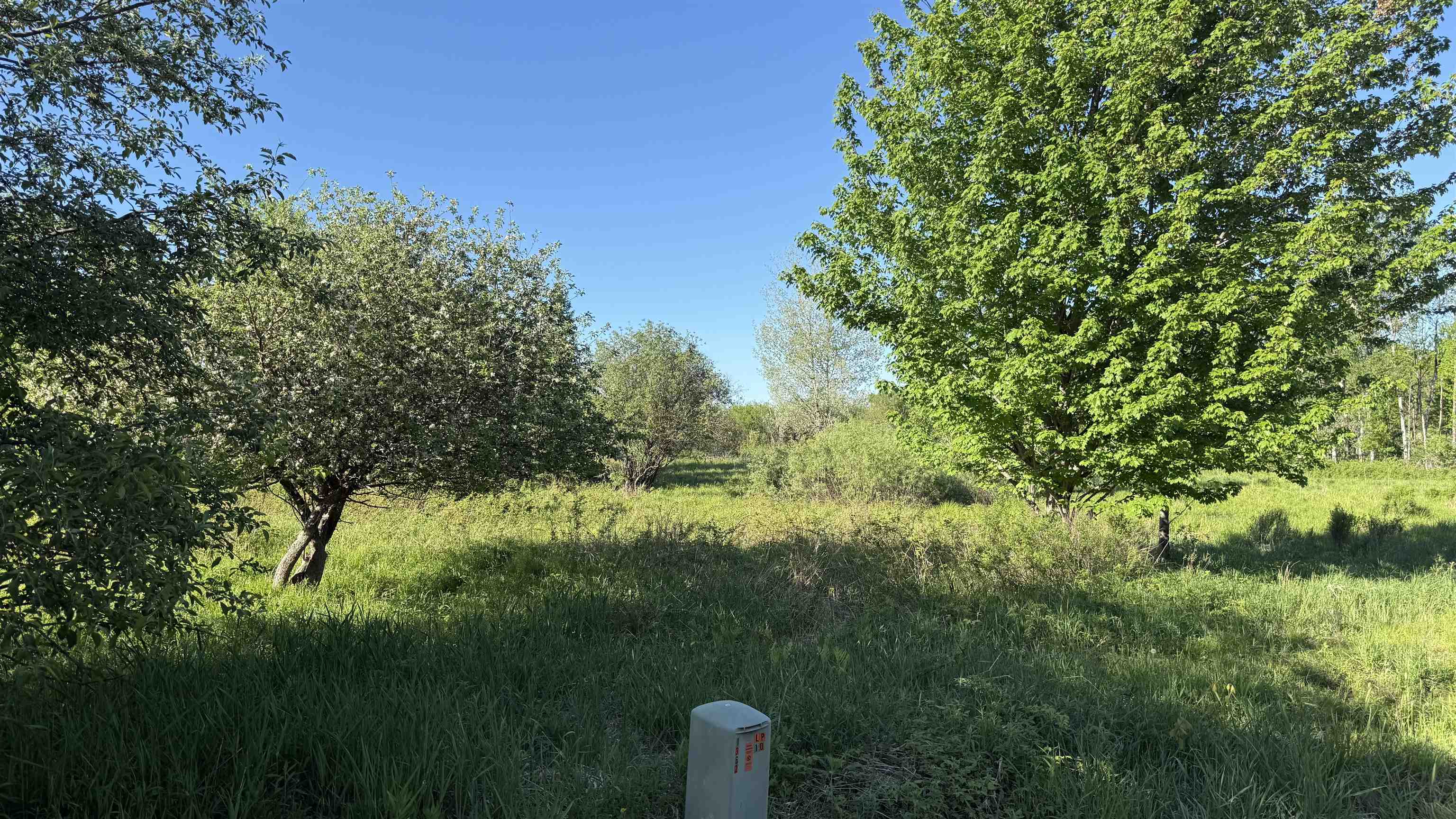 Lot 3 Eau Claire River Road Property Photo 18