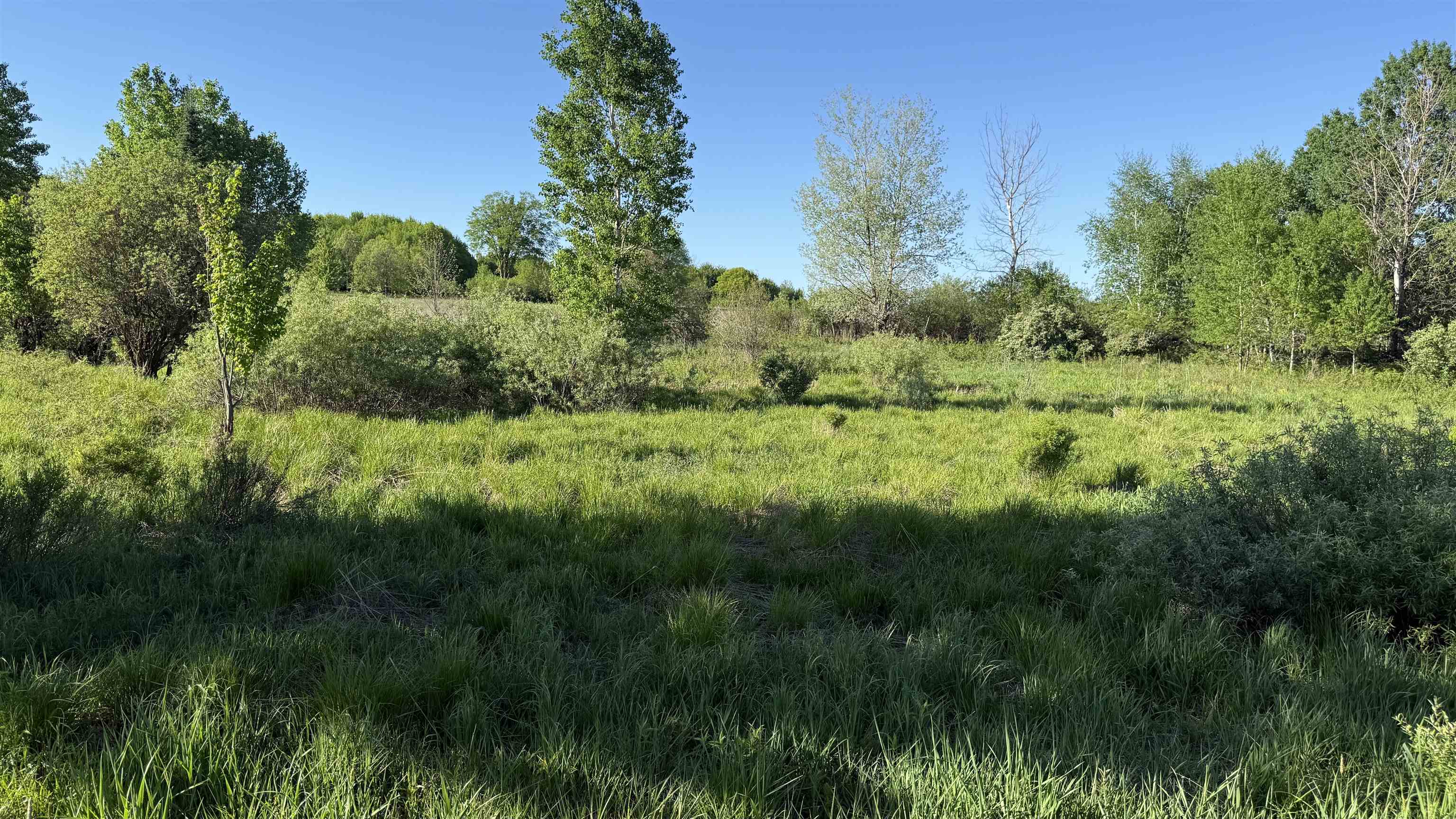Lot 3 Eau Claire River Road Property Photo 19