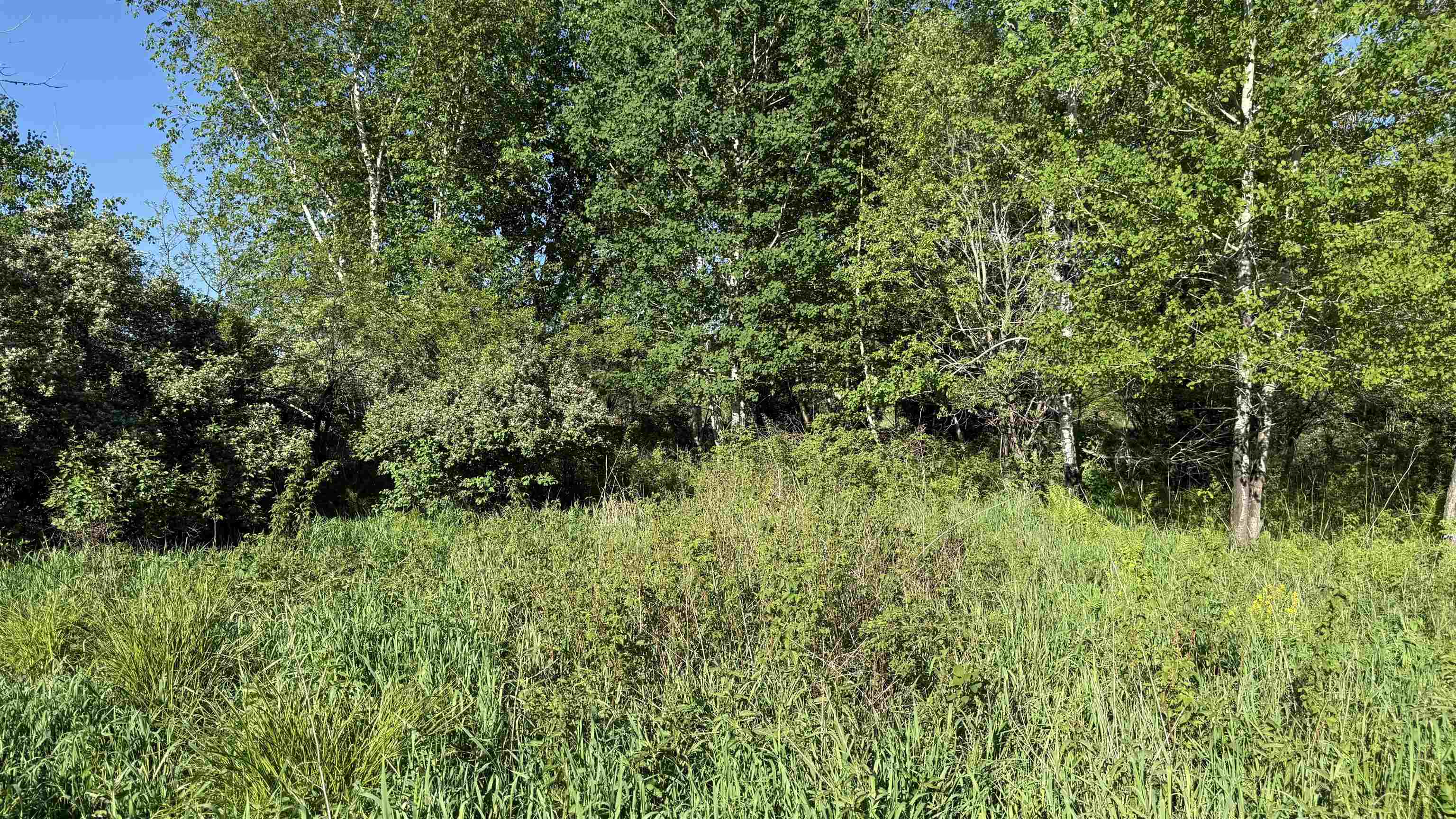 Lot 3 Eau Claire River Road Property Photo 20