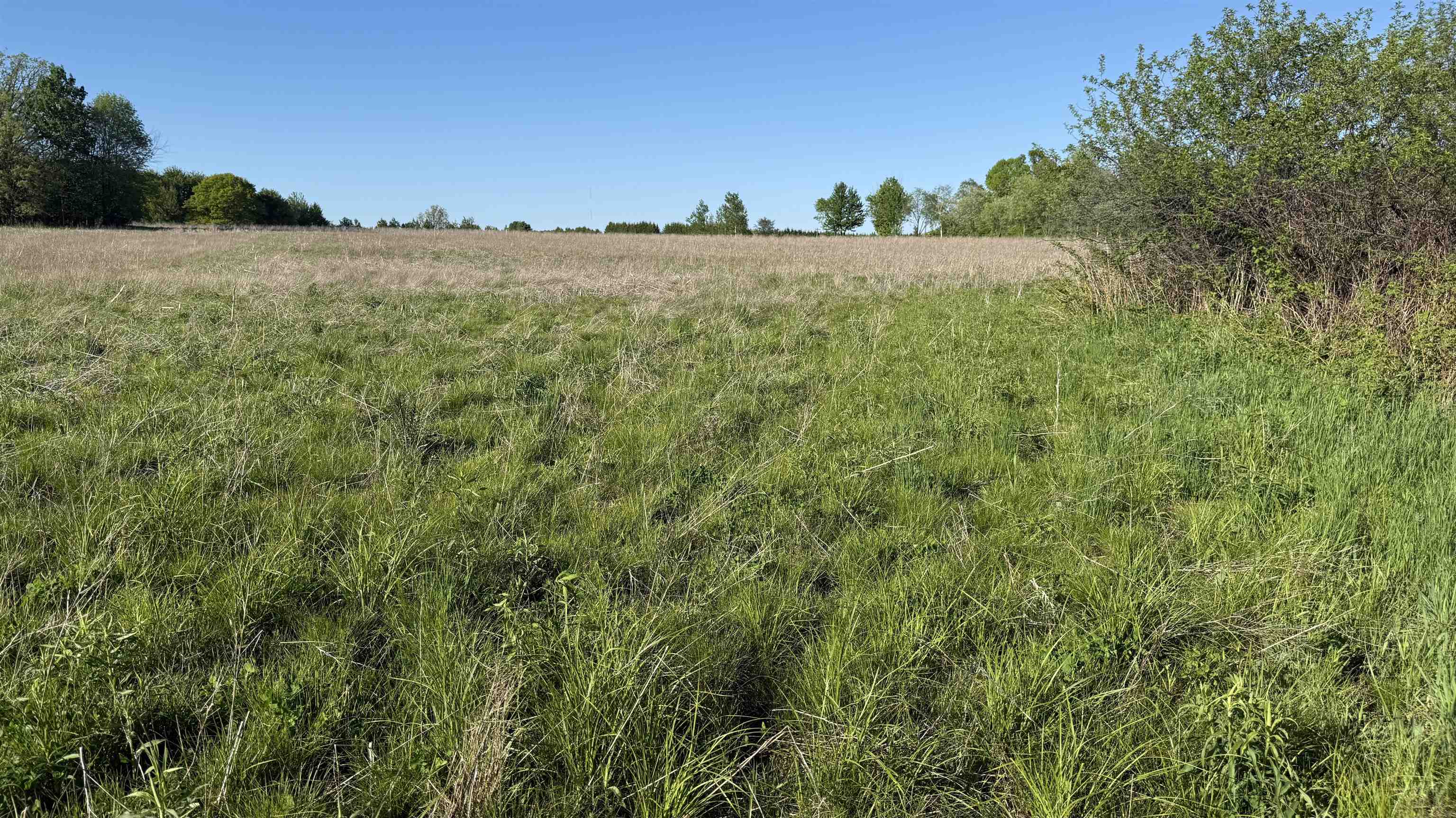 Lot 3 Eau Claire River Road Property Photo 22