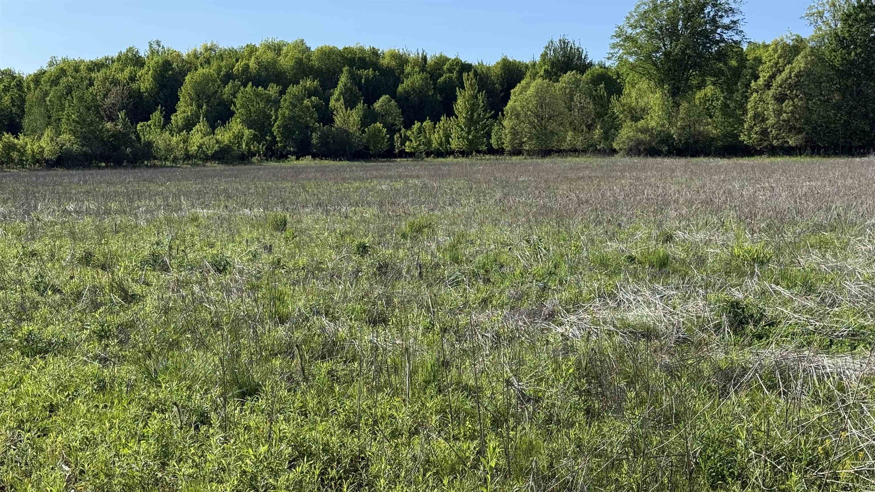 Lot 3 Eau Claire River Road Property Photo 24
