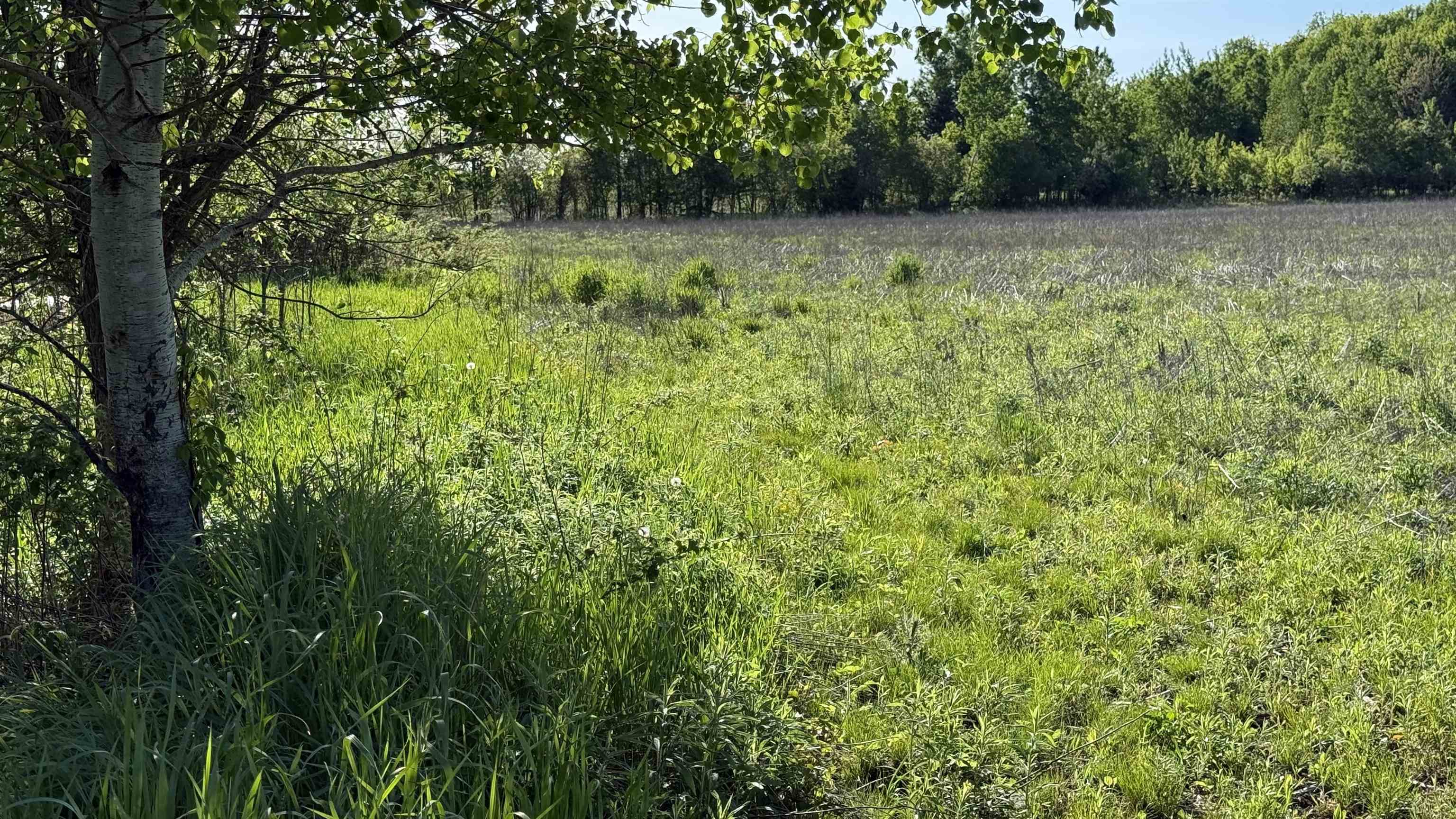 Lot 3 Eau Claire River Road Property Photo 25