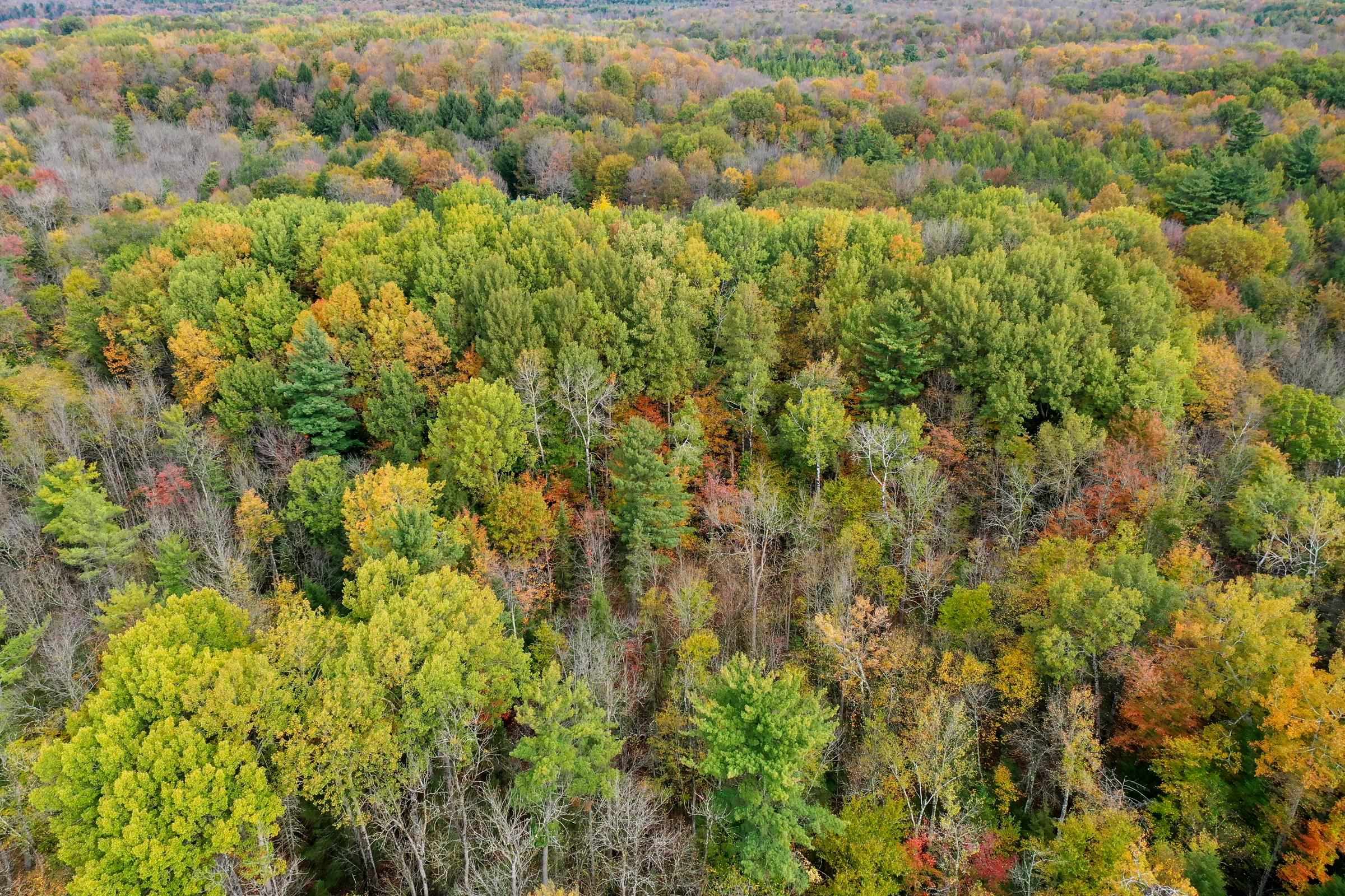 +/-5 Acres Salem Lake Road Property Photo 8