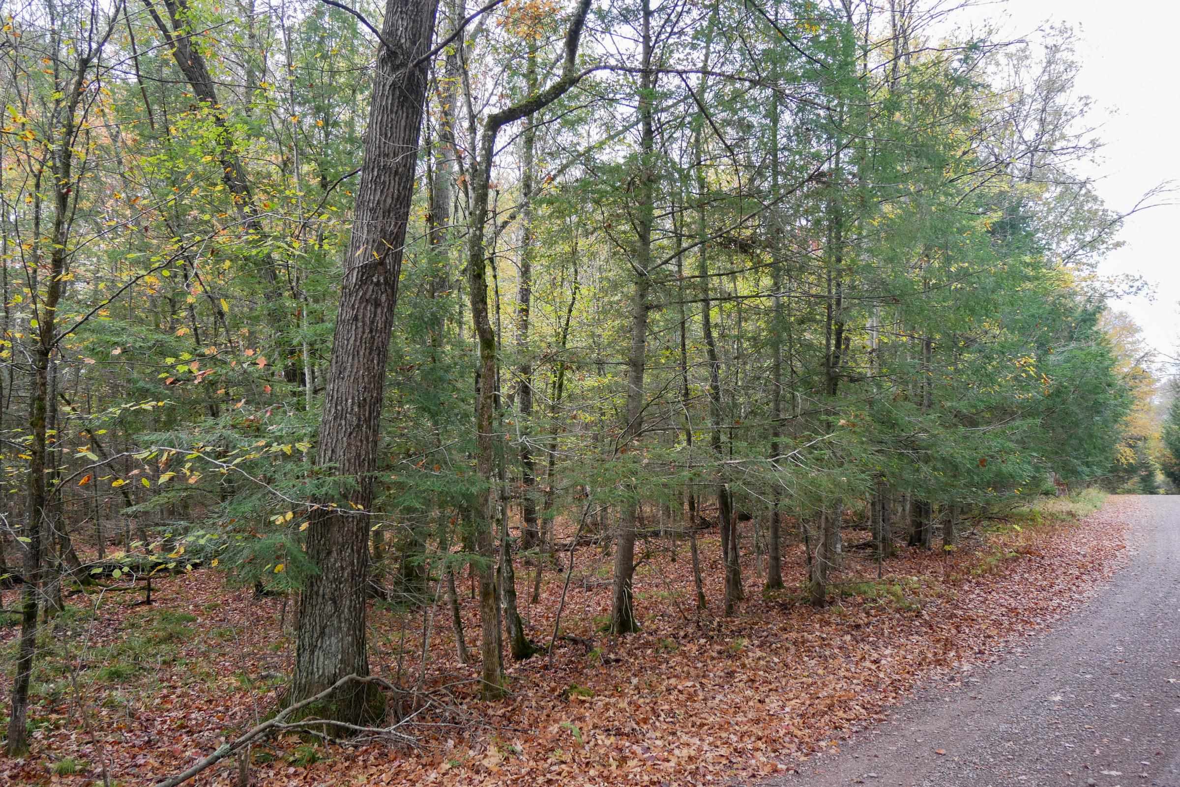 +/-5 Acres Salem Lake Road Property Photo 9