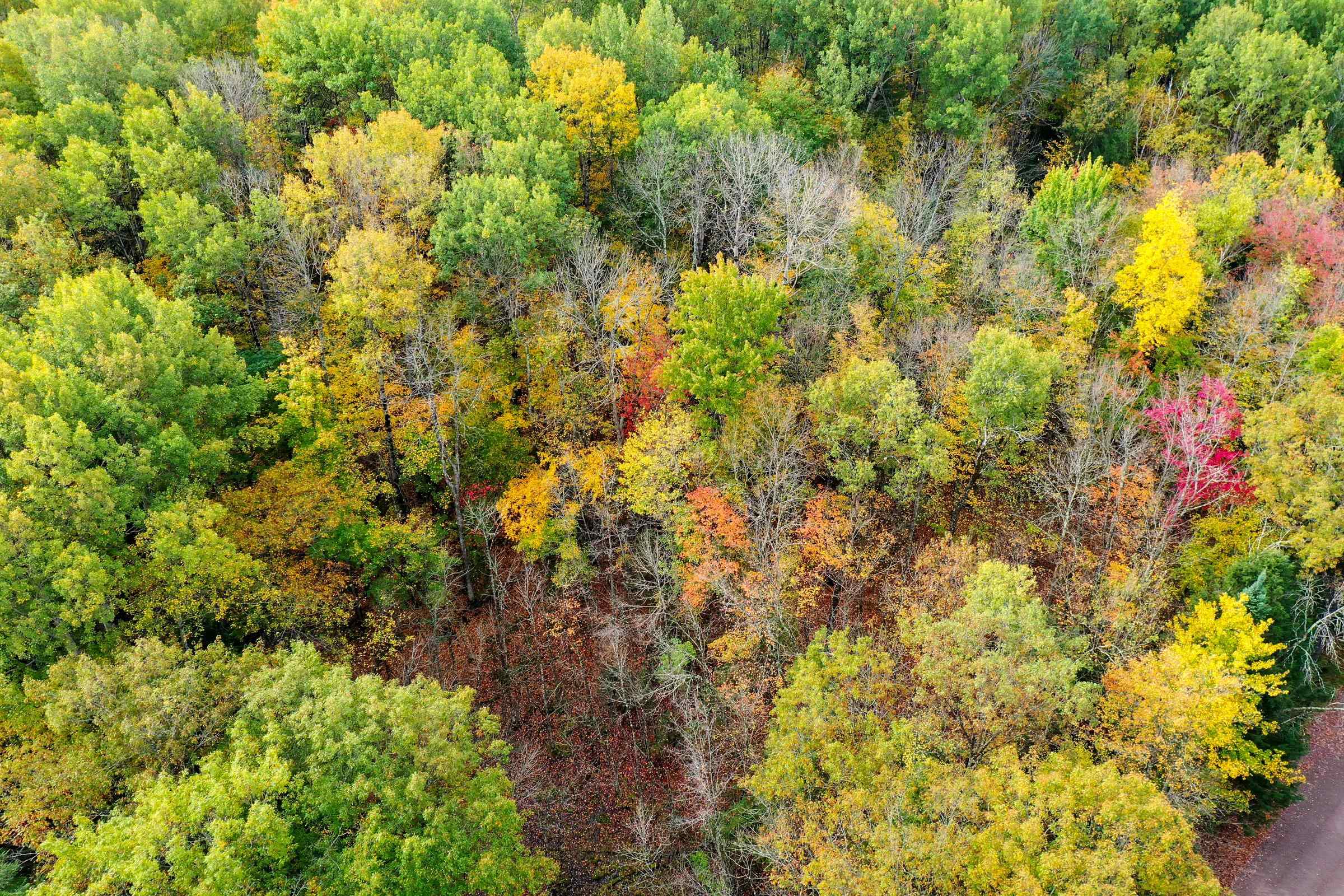 +/-5 Acres Salem Lake Road Property Photo 17