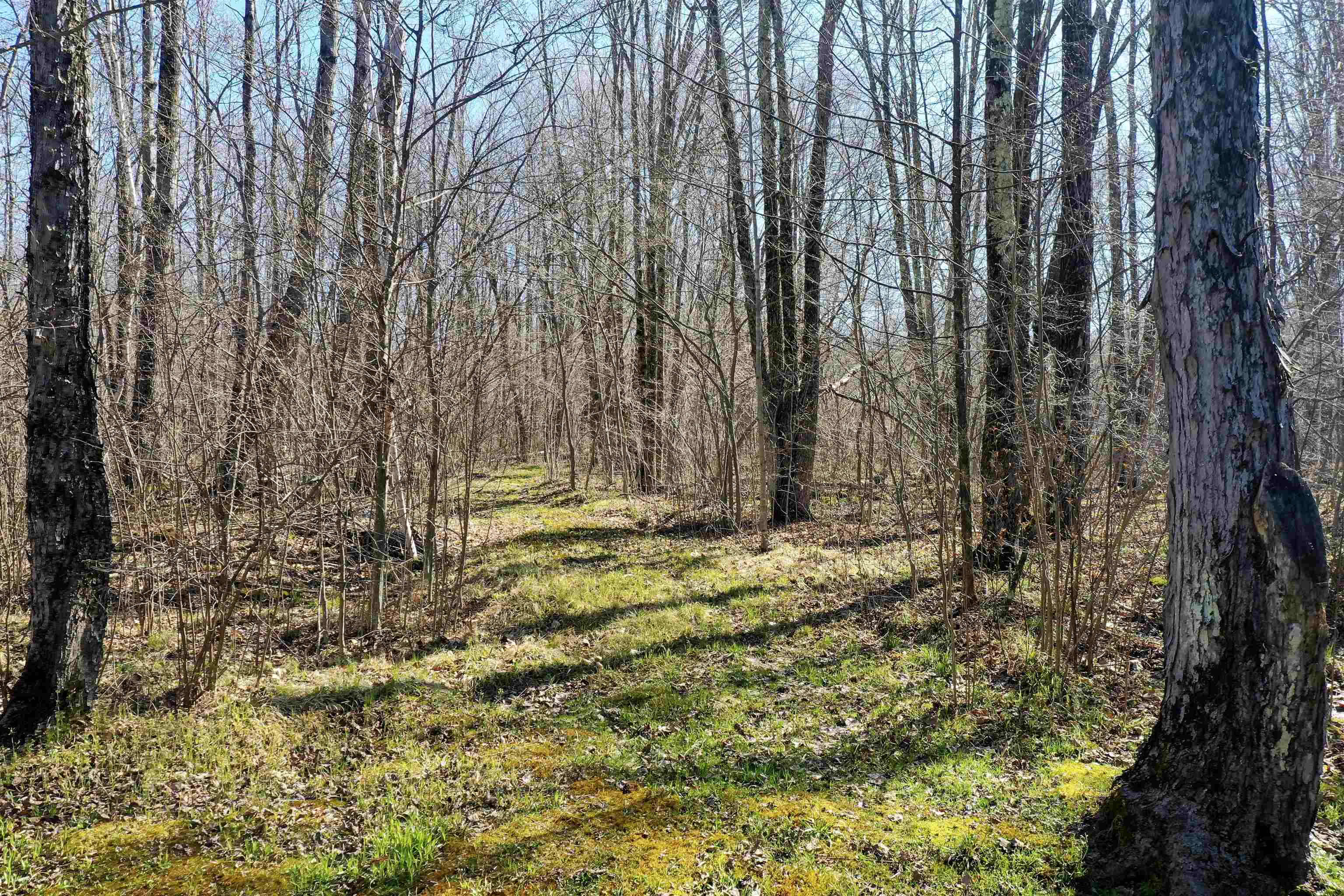 N8878 Blue Moon Lane Property Photo 9