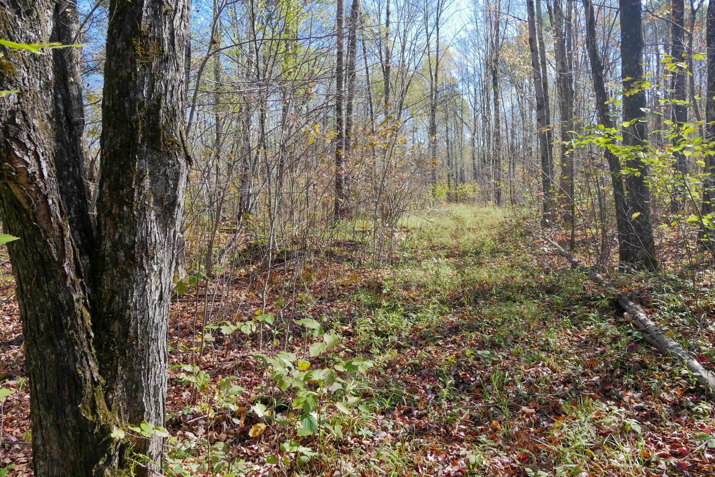 N8878 Blue Moon Lane Property Photo 10