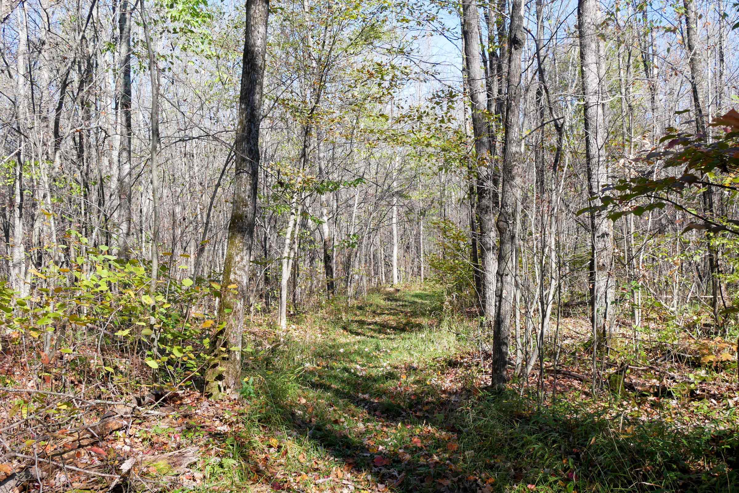 N8878 Blue Moon Lane Property Photo 11