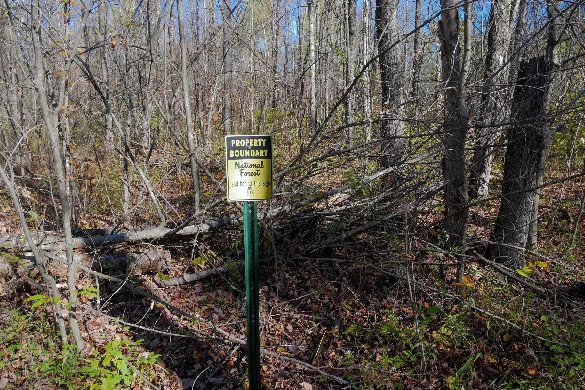 N8878 Blue Moon Lane Property Photo 12