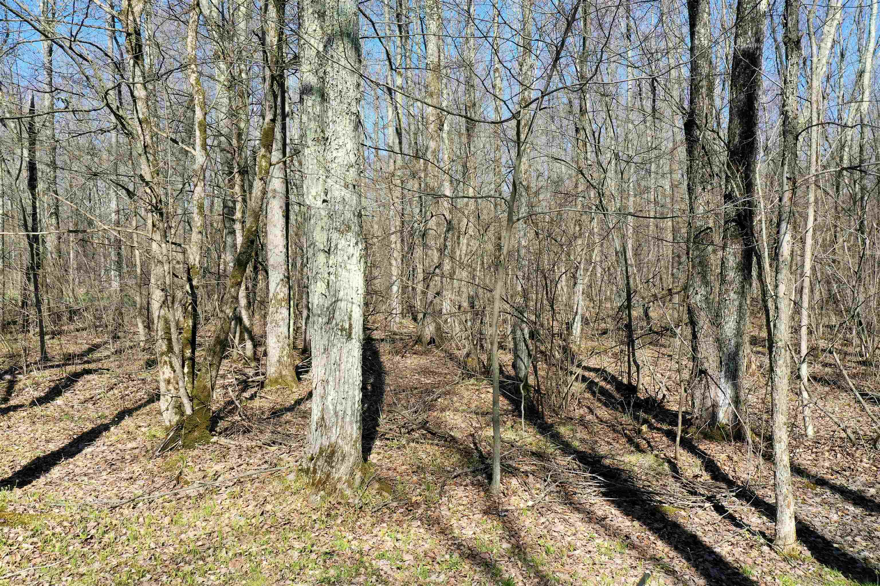 N8878 Blue Moon Lane Property Photo 13