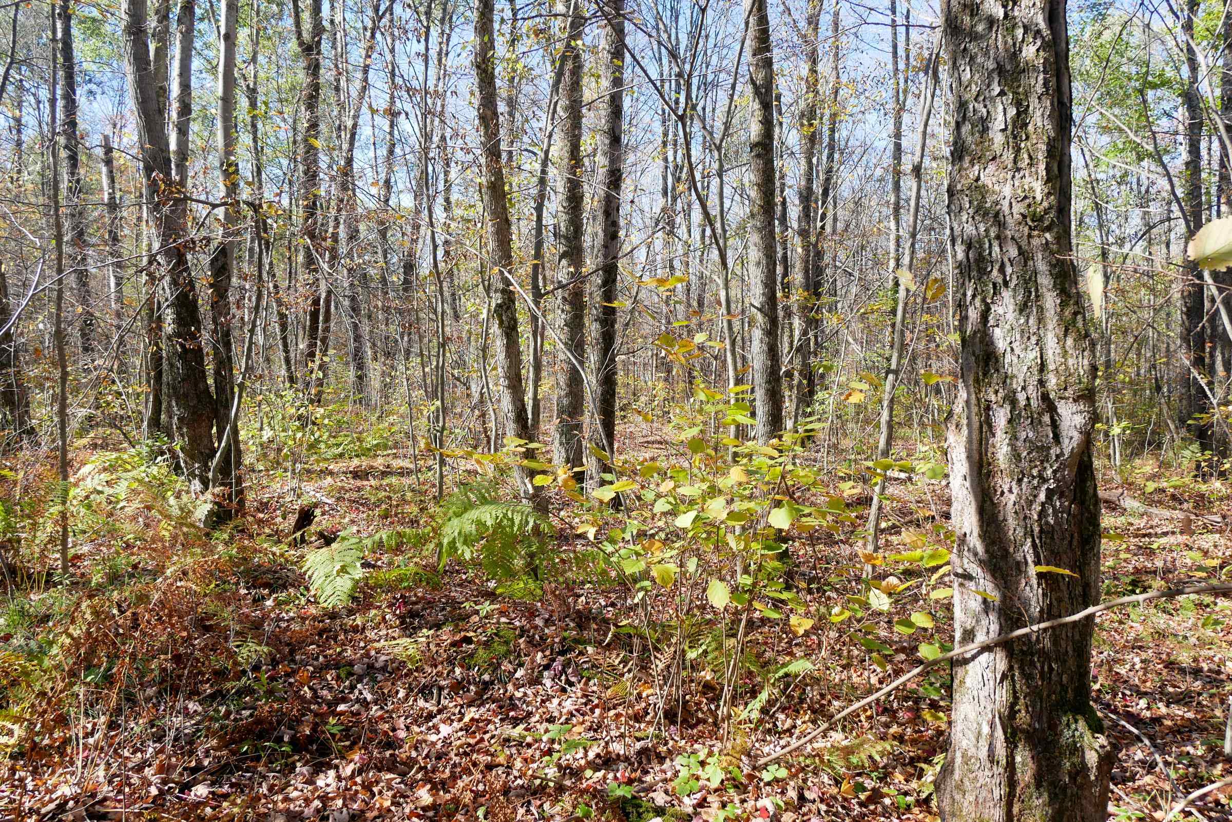 N8878 Blue Moon Lane Property Photo 14