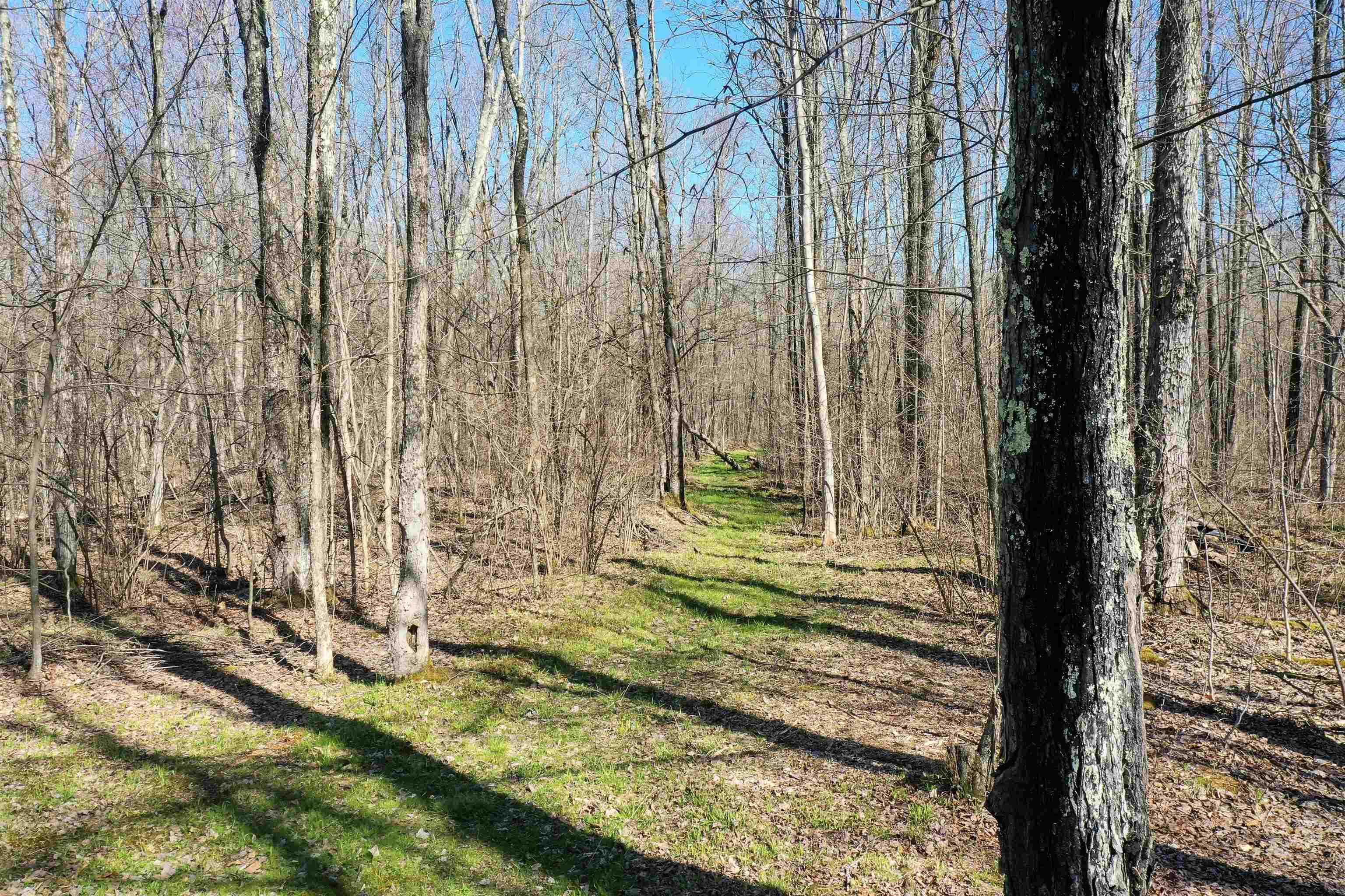 N8878 Blue Moon Lane Property Photo 15