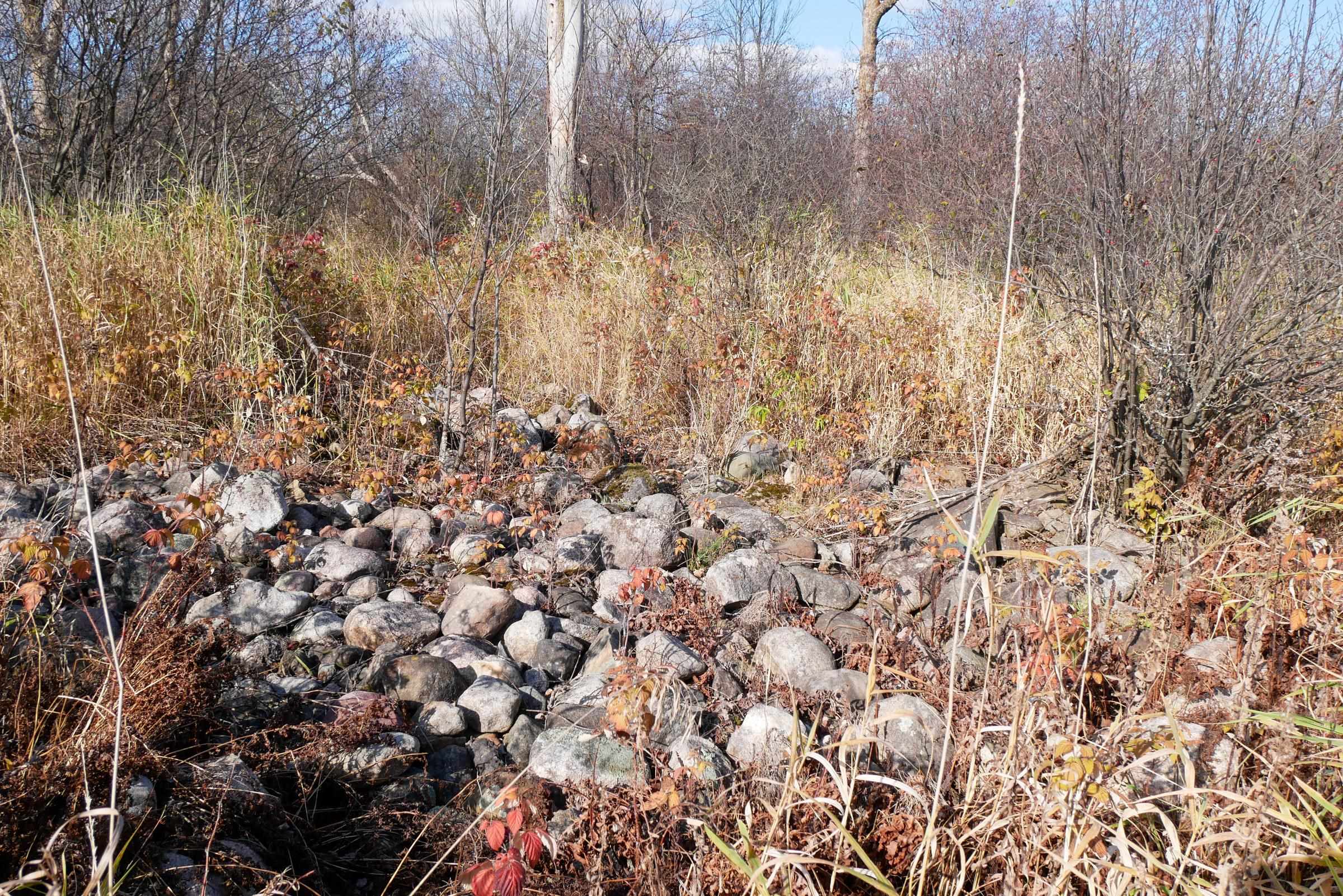 +/-22.85 Acres Tower Avenue Property Photo 6