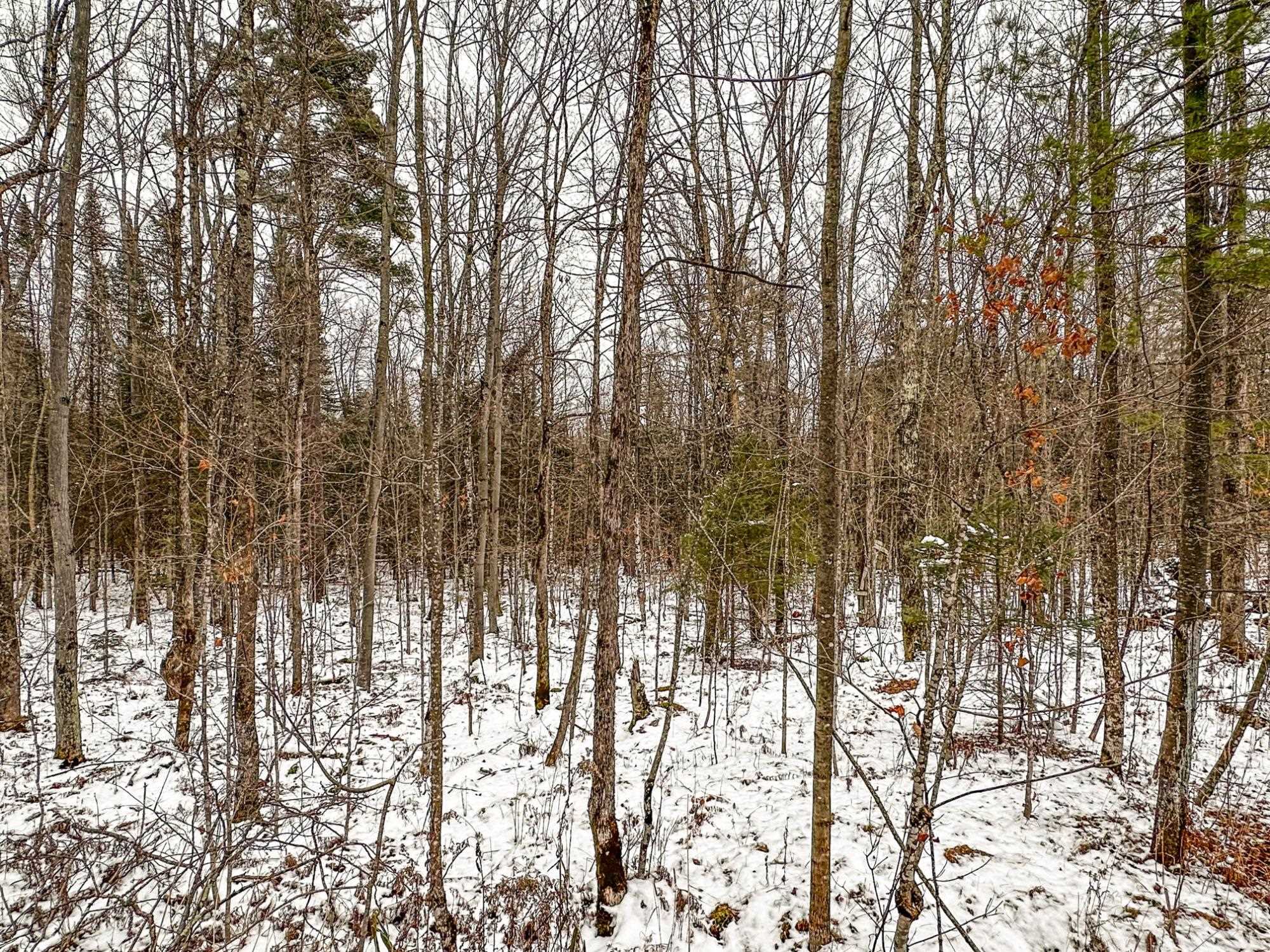 N10660 Tower Road Property Photo 8