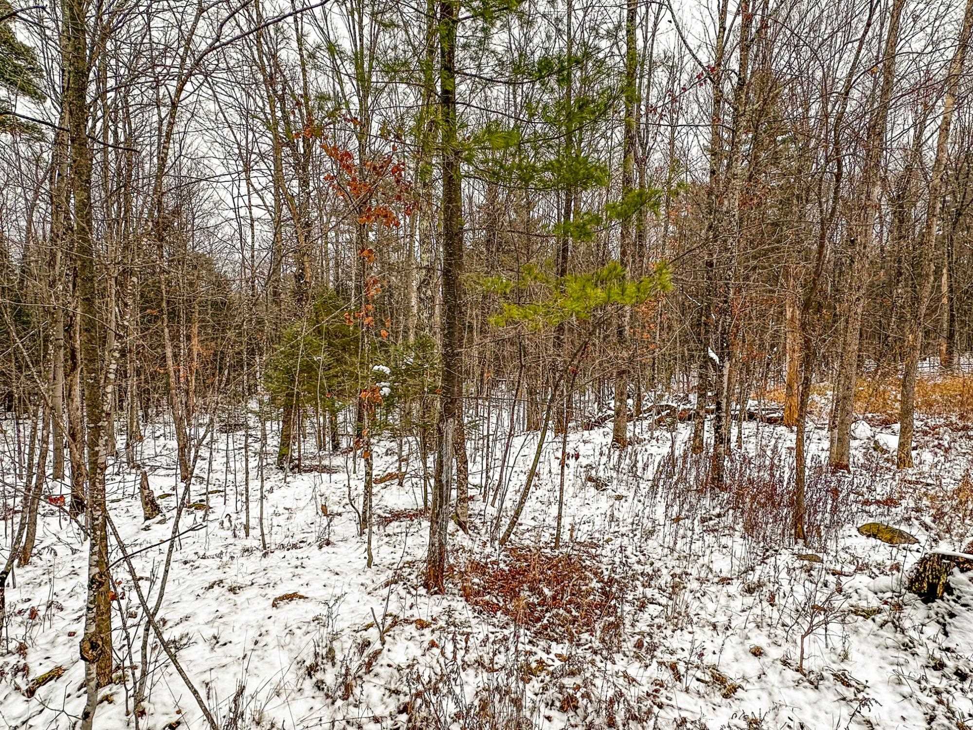 N10660 Tower Road Property Photo 9