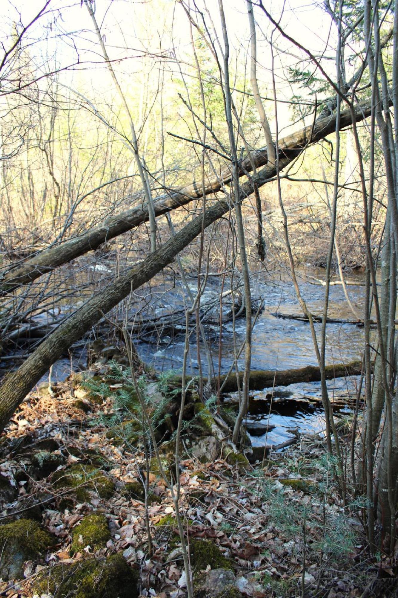 N10660 Tower Road Property Photo 26