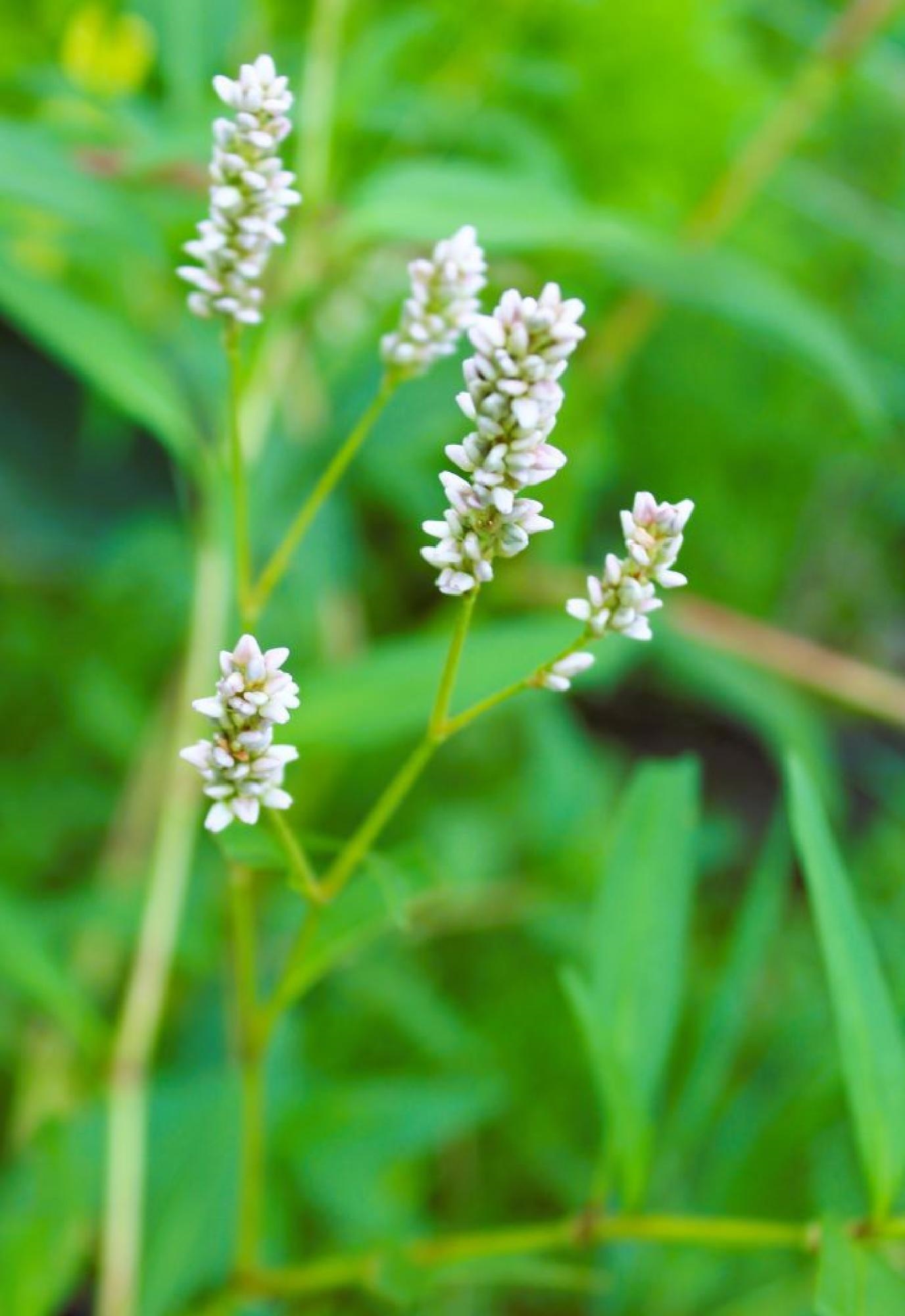 N10660 Tower Road Property Photo 37