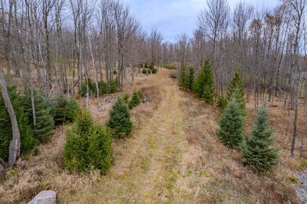 17 Acres Snowflake Lane Property Photo 14