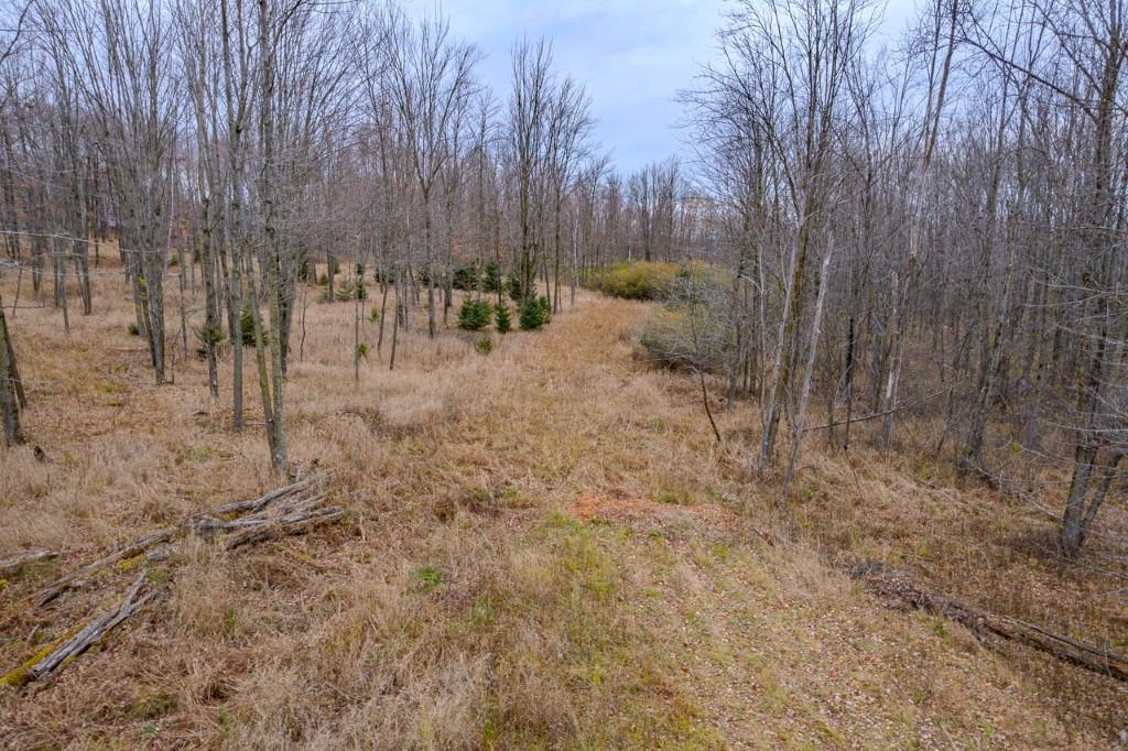 17 Acres Snowflake Lane Property Photo 15