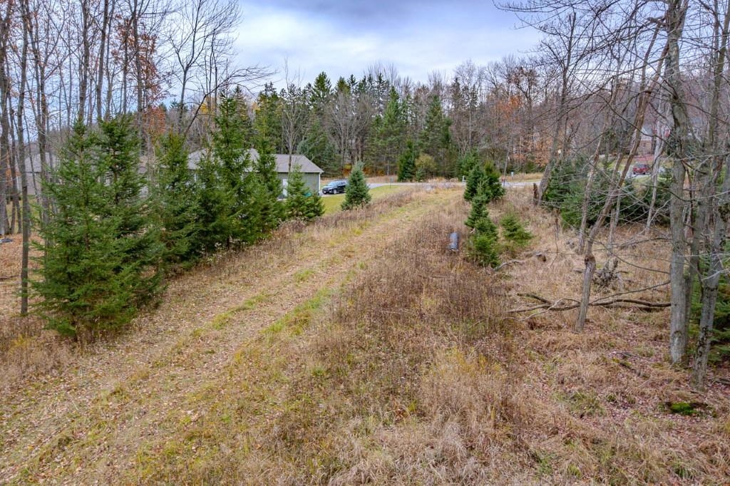 17 Acres Snowflake Lane Property Photo 16