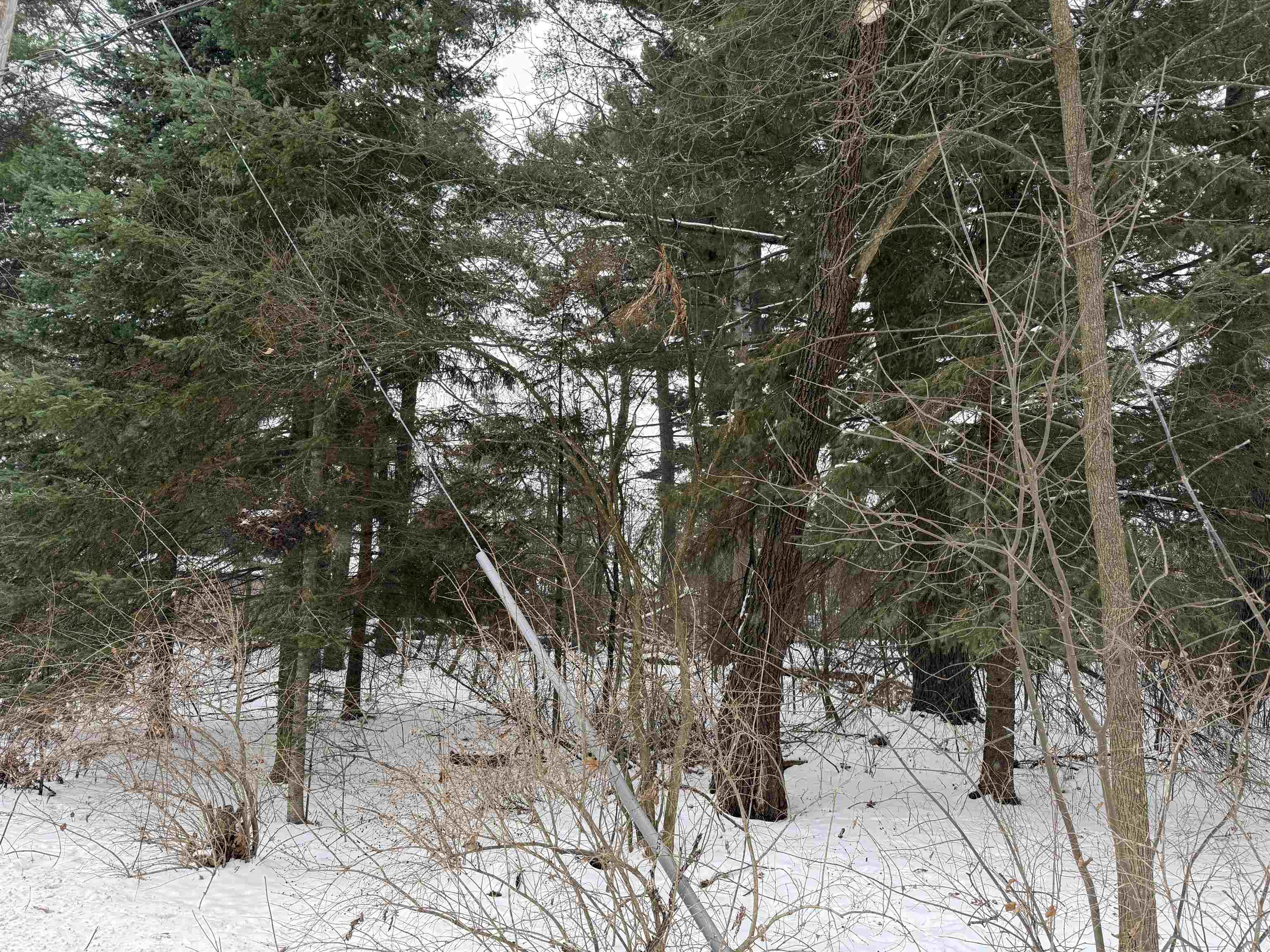 2007 Bloedel Avenue Property Photo 1