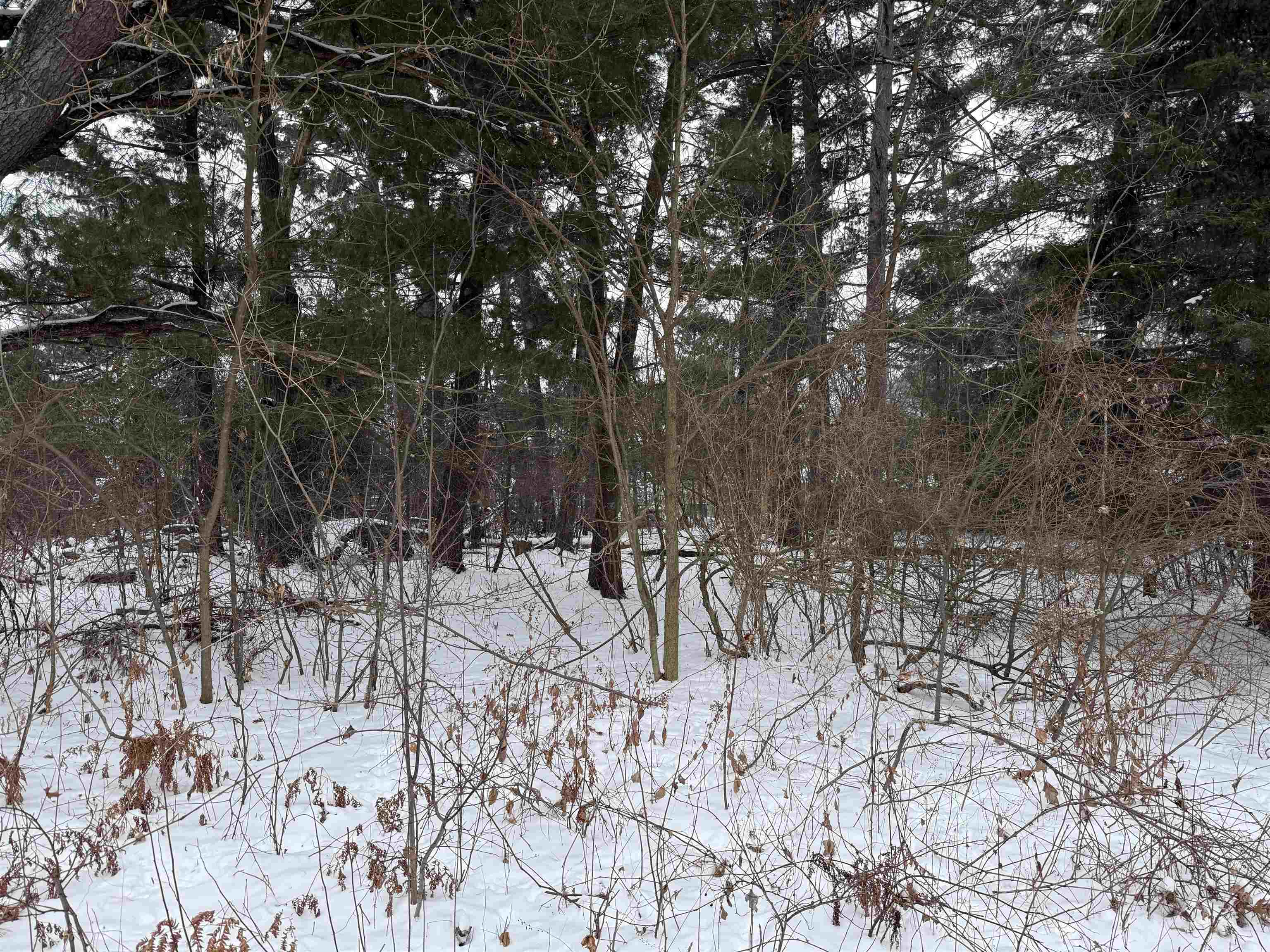 2007 Bloedel Avenue Property Photo 2