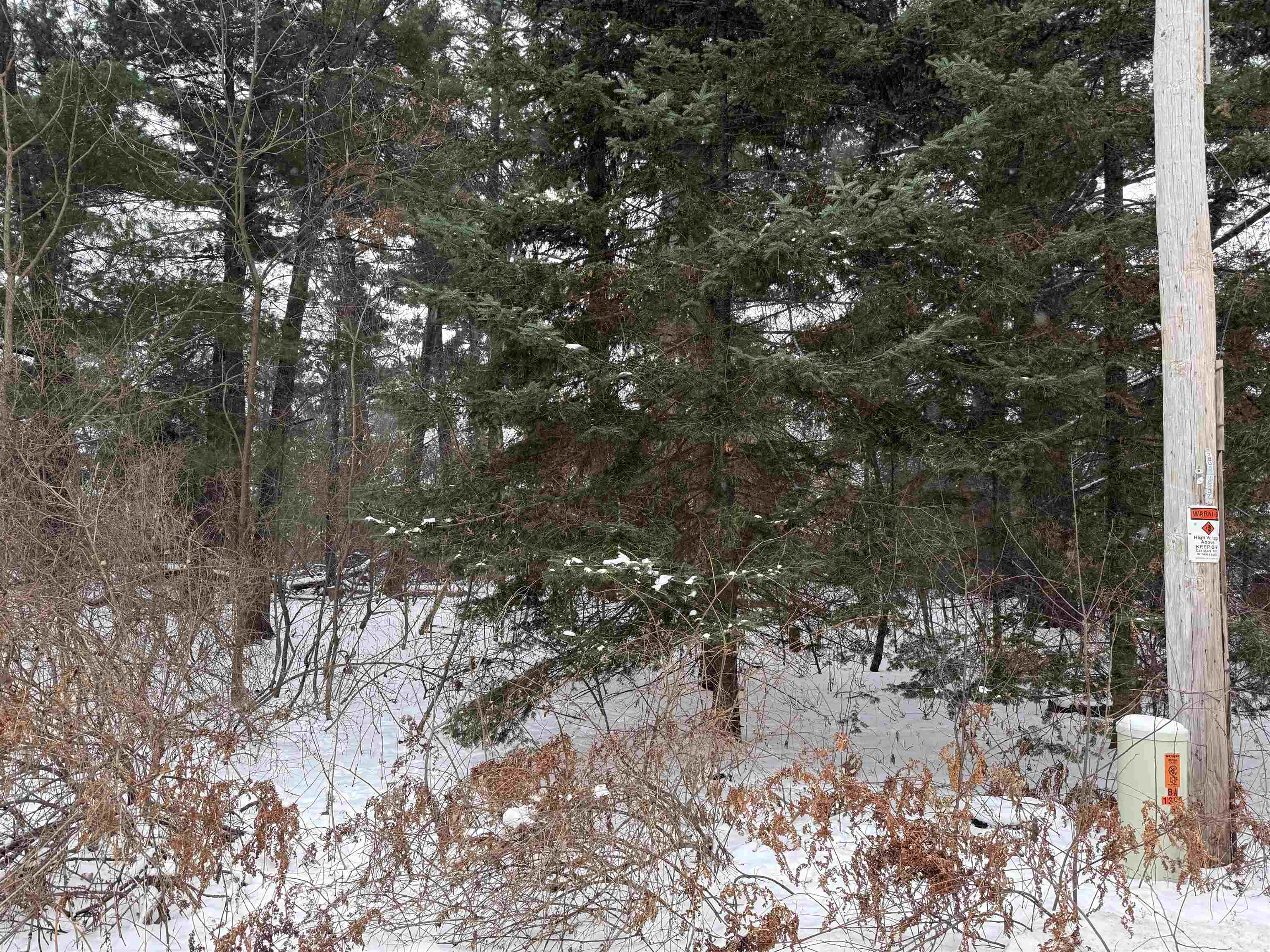 2007 Bloedel Avenue Property Photo 4