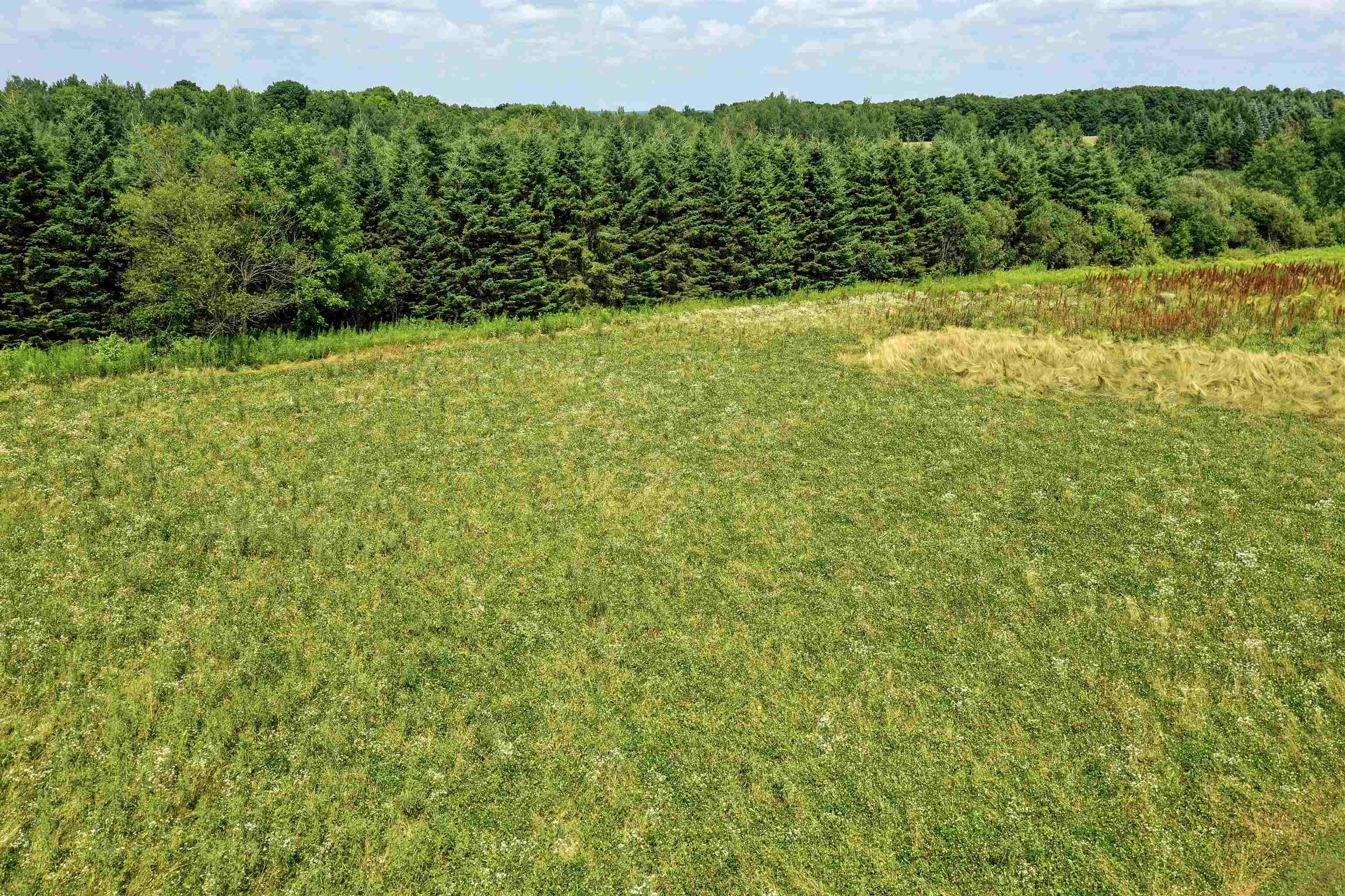 124236 Kohl Road Property Photo 25