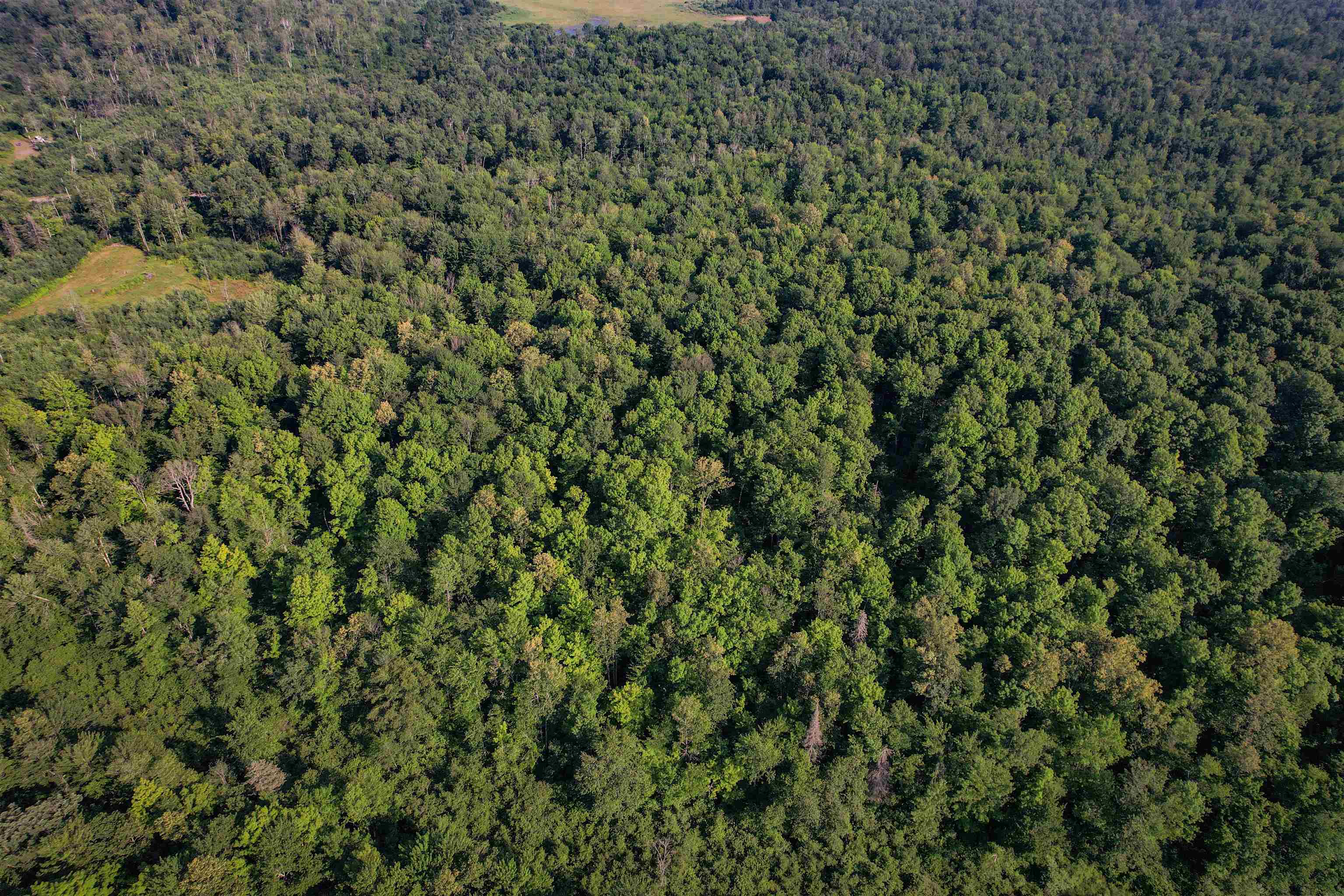 Lot 14 Scout Trail Property Photo 24