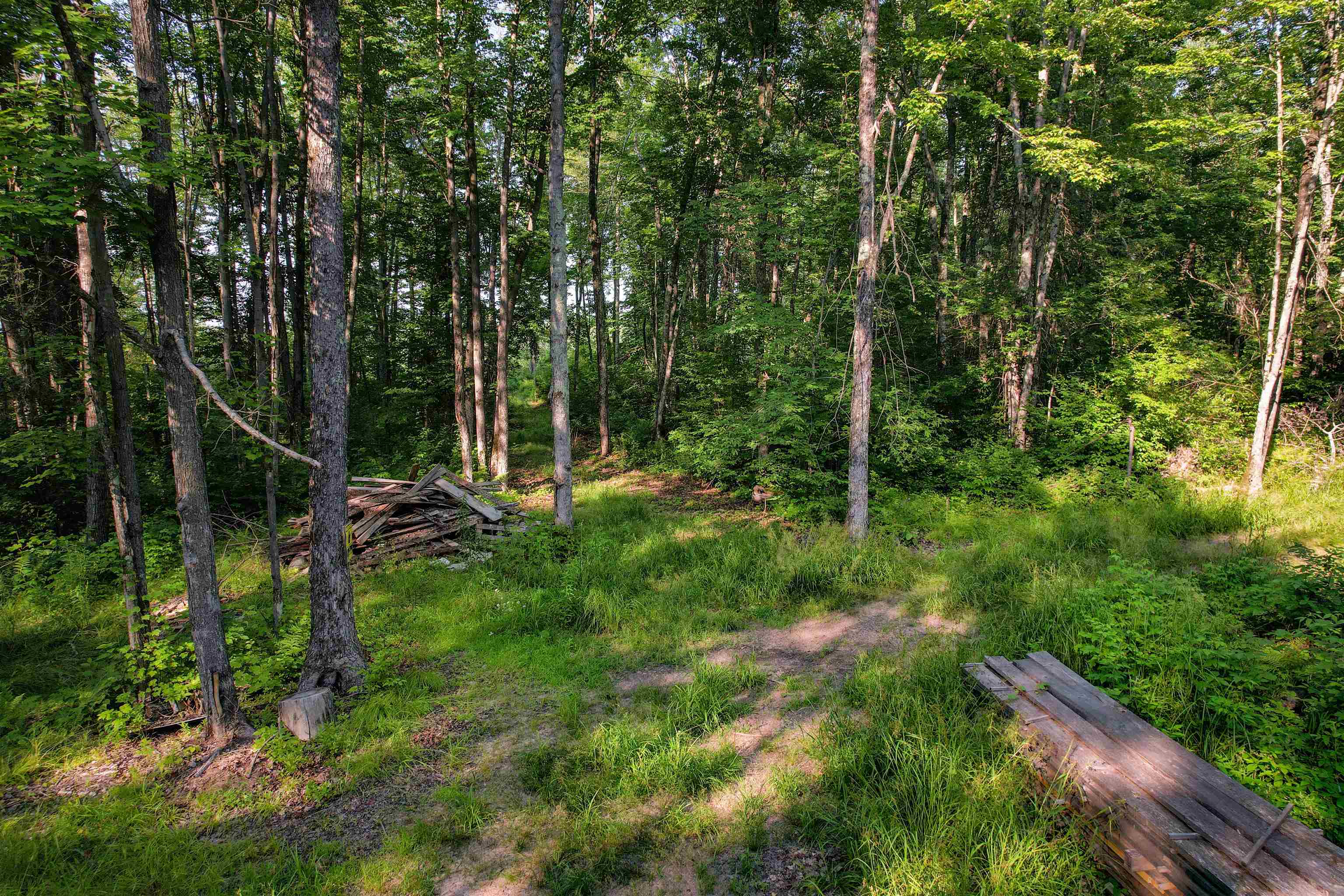 Lot 15 Scout Trail Property Photo 14